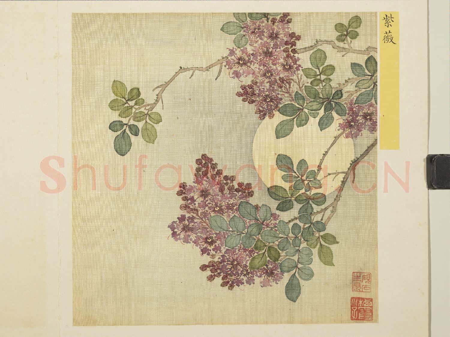 清馬元馭花卉 冊 紫薇