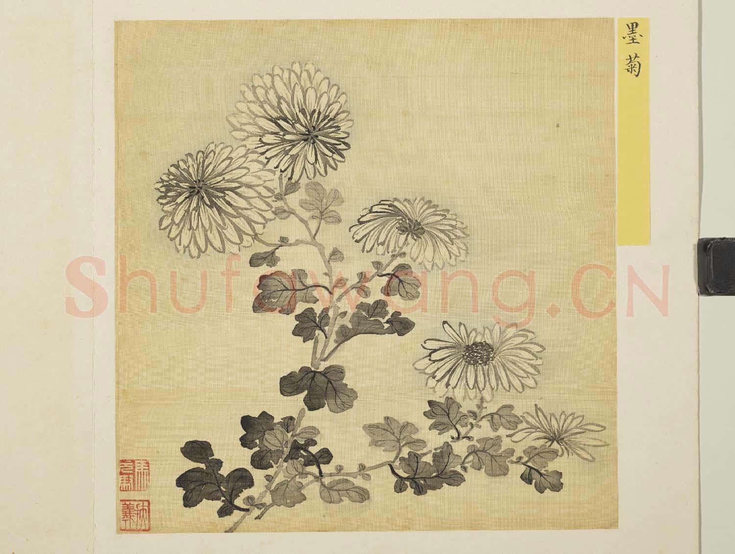 清馬元馭花卉 冊 墨菊