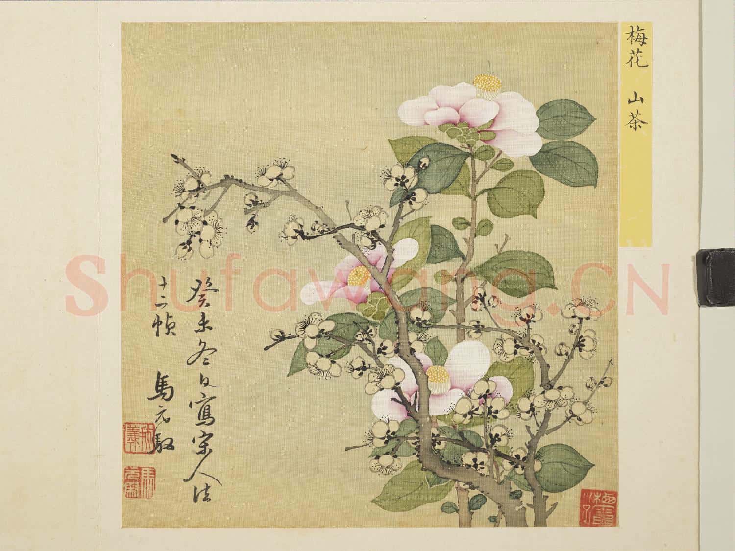 清馬元馭花卉 冊 梅花山茶