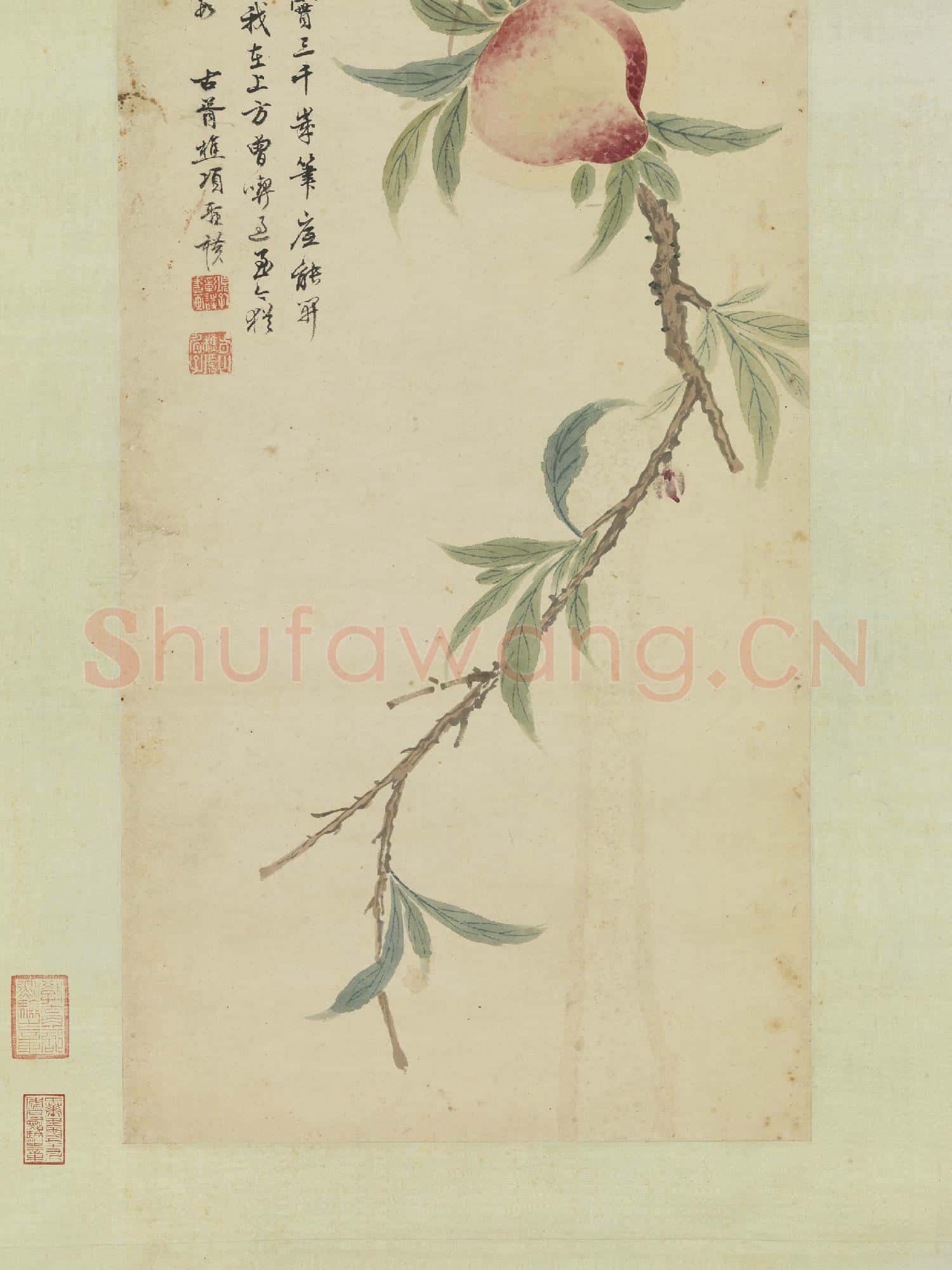 明項聖謨蟠桃圖 軸