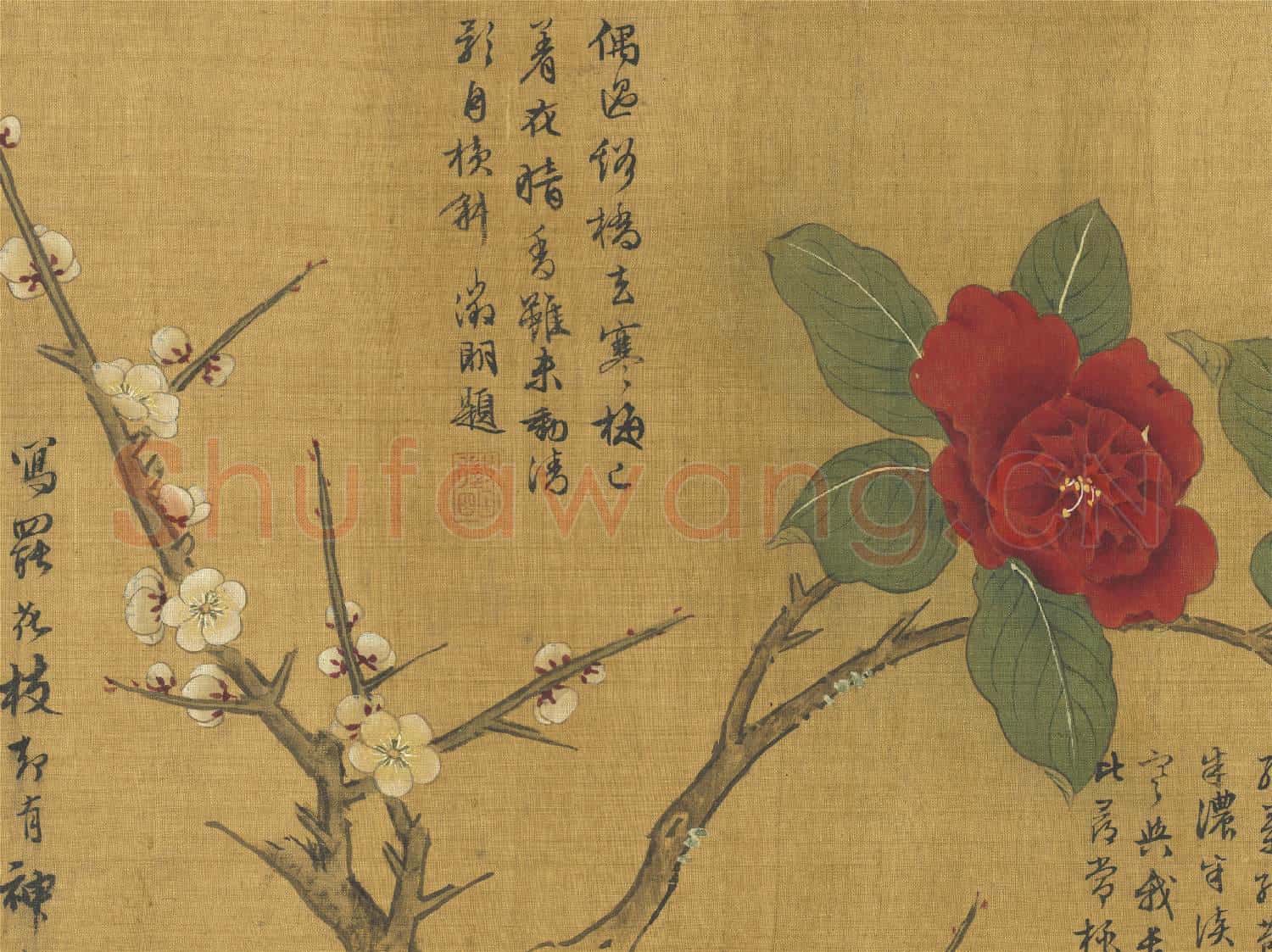 明唐寅畫折枝花卉圖 卷