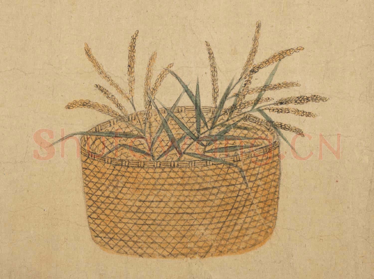 明人瑞應圖 卷