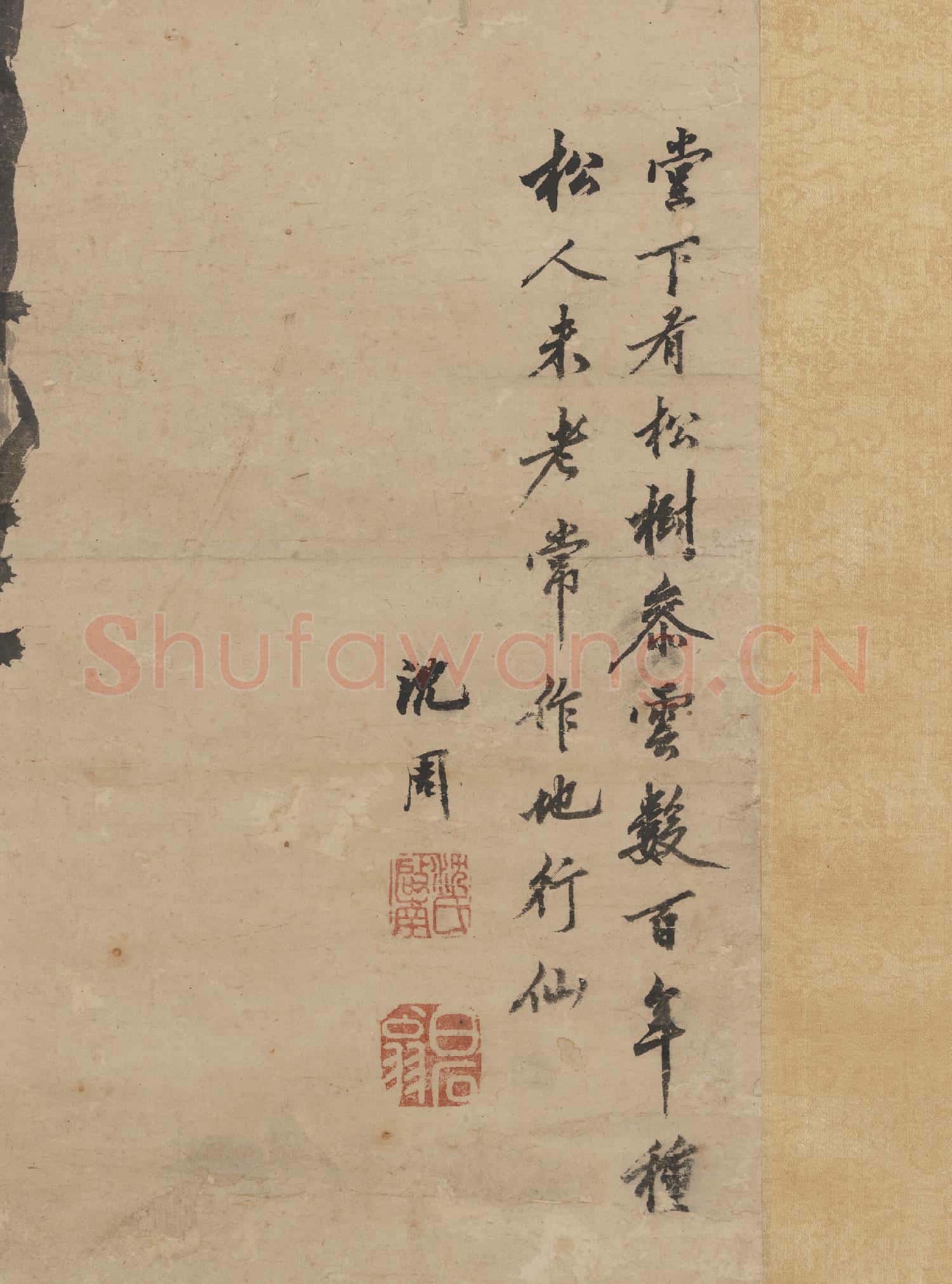 明沈周雙松 軸