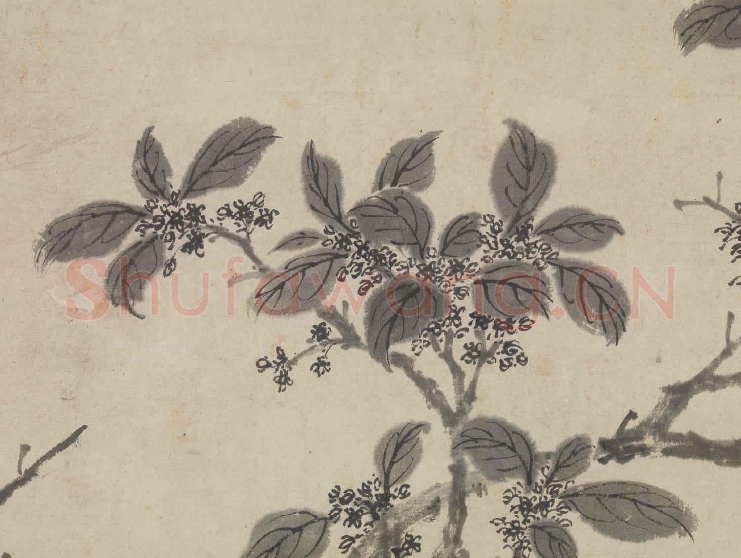 明沈周金粟晚香圖 軸