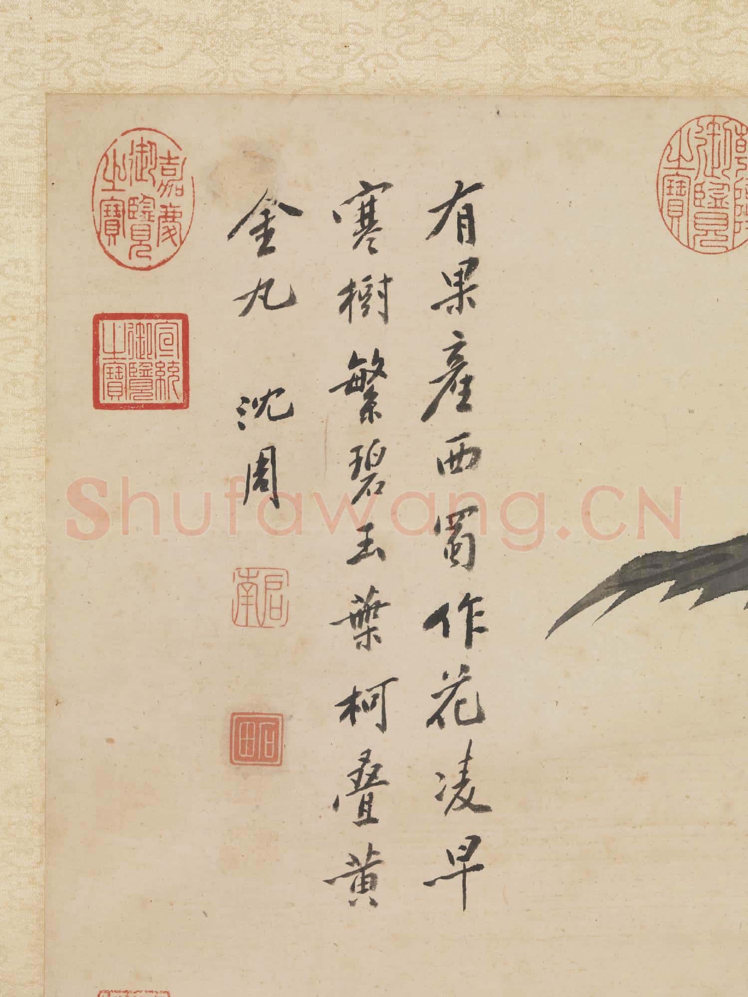 明沈周畫枇杷 軸