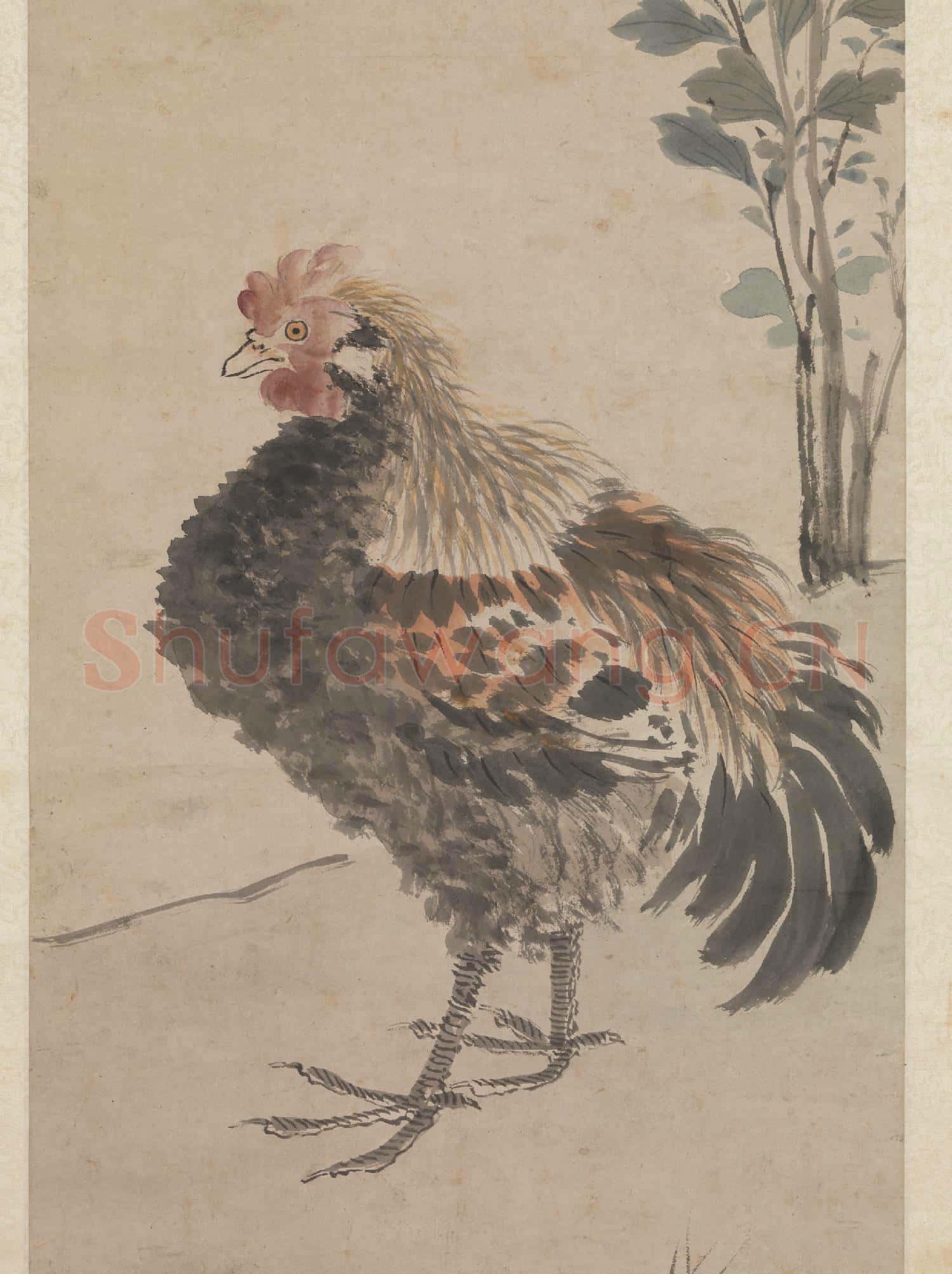 明沈周畫雞 軸