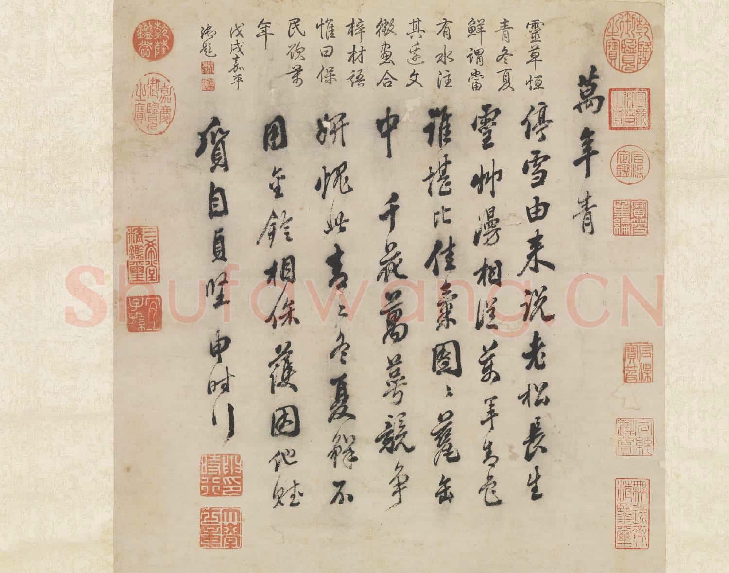 明陳栝畫萬年青 軸