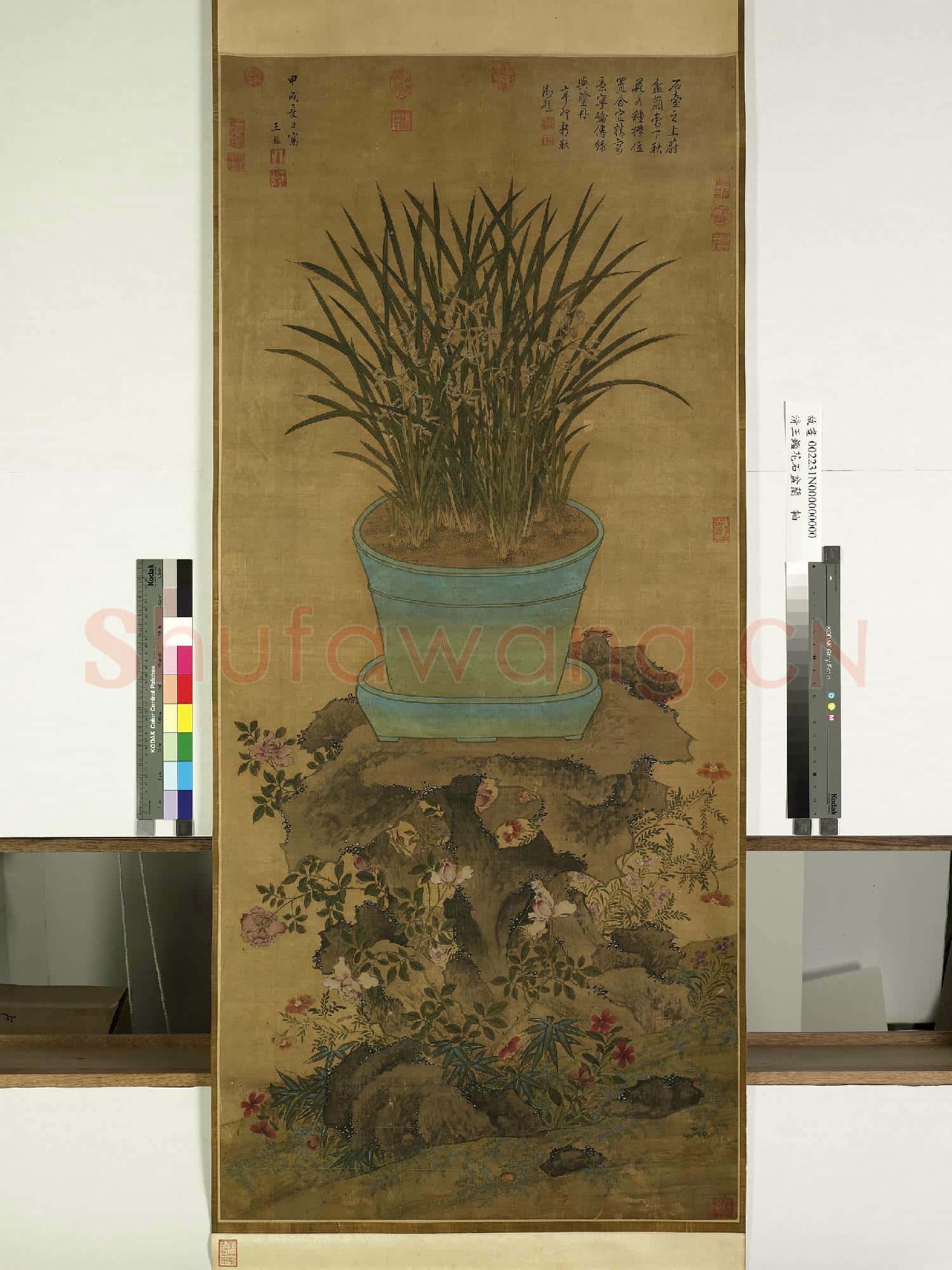 明王鑑花石盆蘭 軸