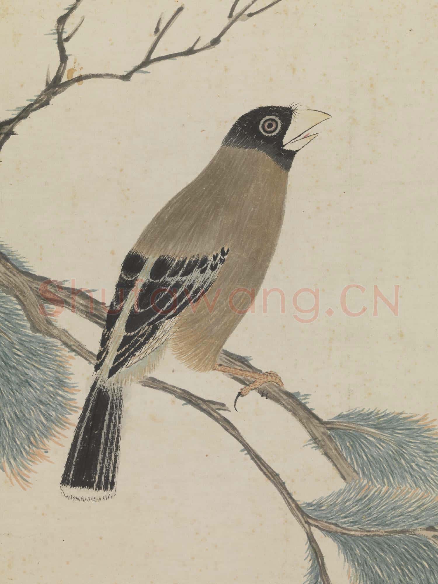 明談志伊松禽圖 軸