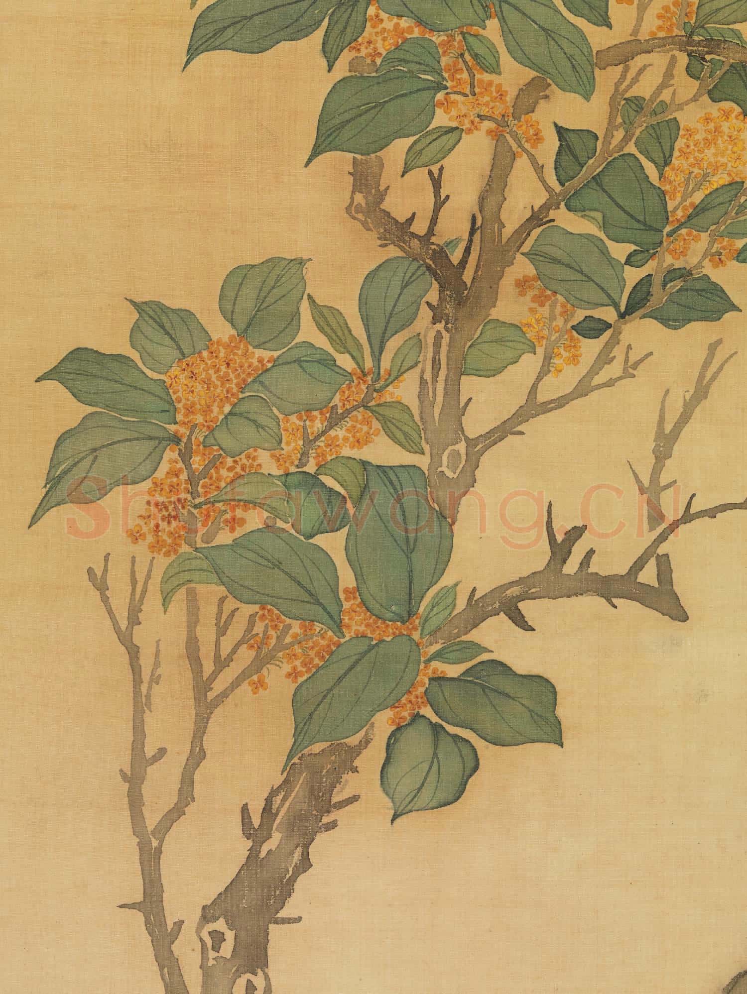 清蔣廷錫桂花 軸