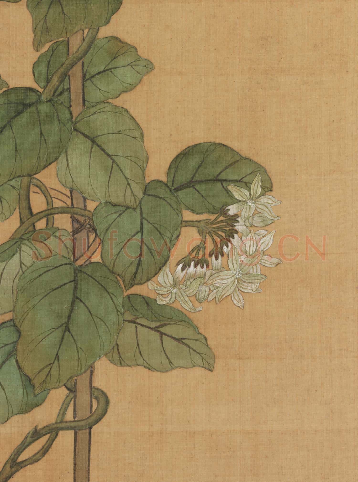 清蔣廷錫月來香圖 軸
