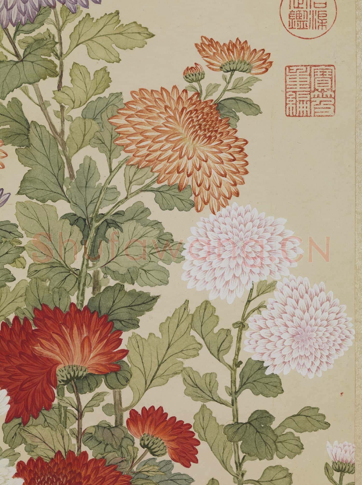 清鄒一桂畫菊 軸