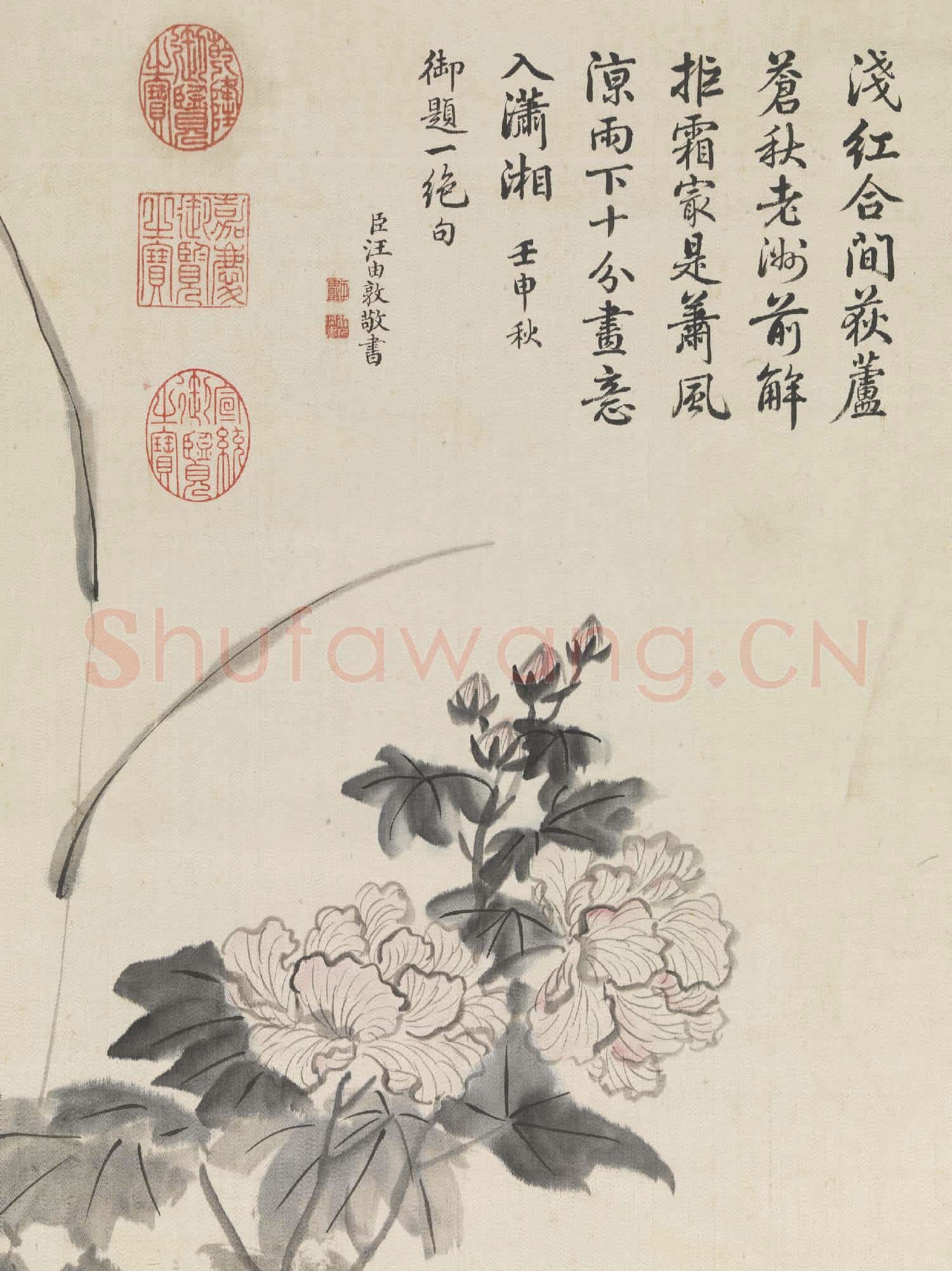 清鄒一桂畫芙蓉 軸