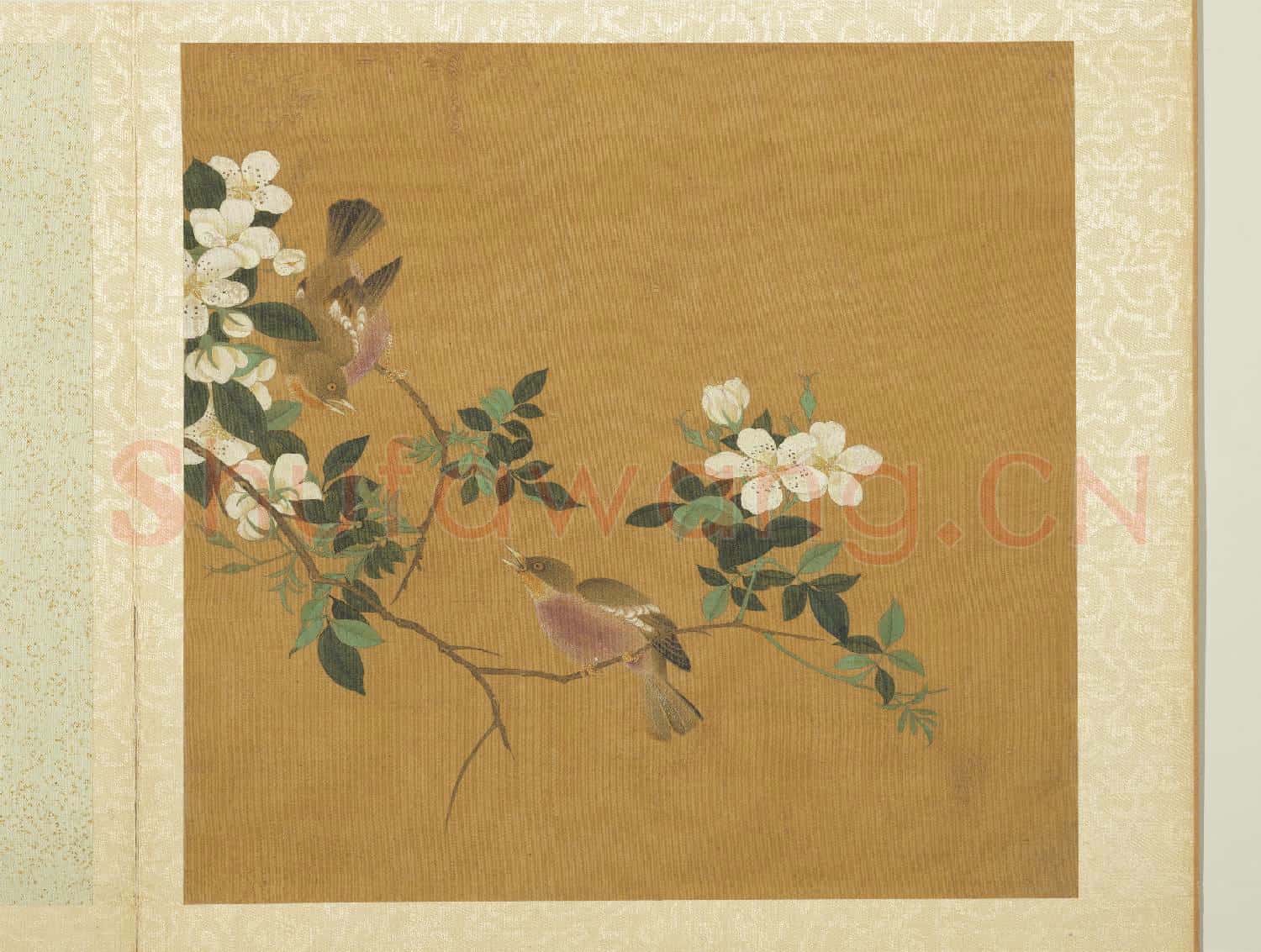 五代後蜀黃筌長春花鳥 冊 花卉翎毛