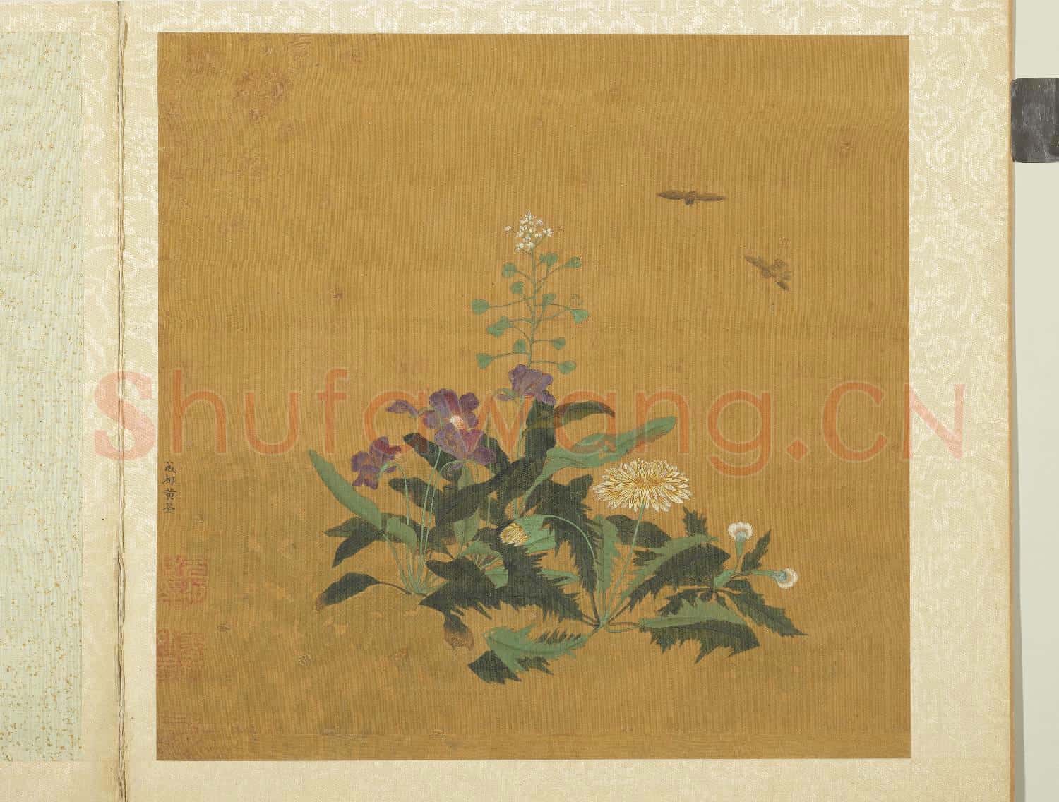 五代後蜀黃筌長春花鳥 冊 薺菜蒲公英