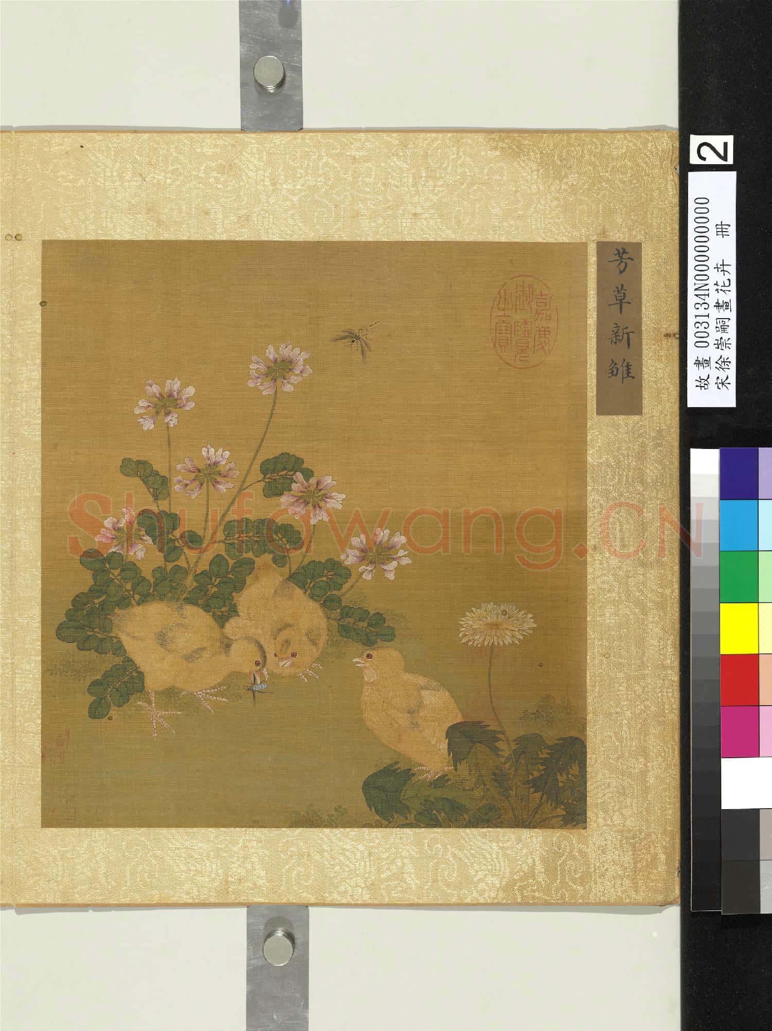 宋徐崇嗣畫花卉 冊 芳草新雛