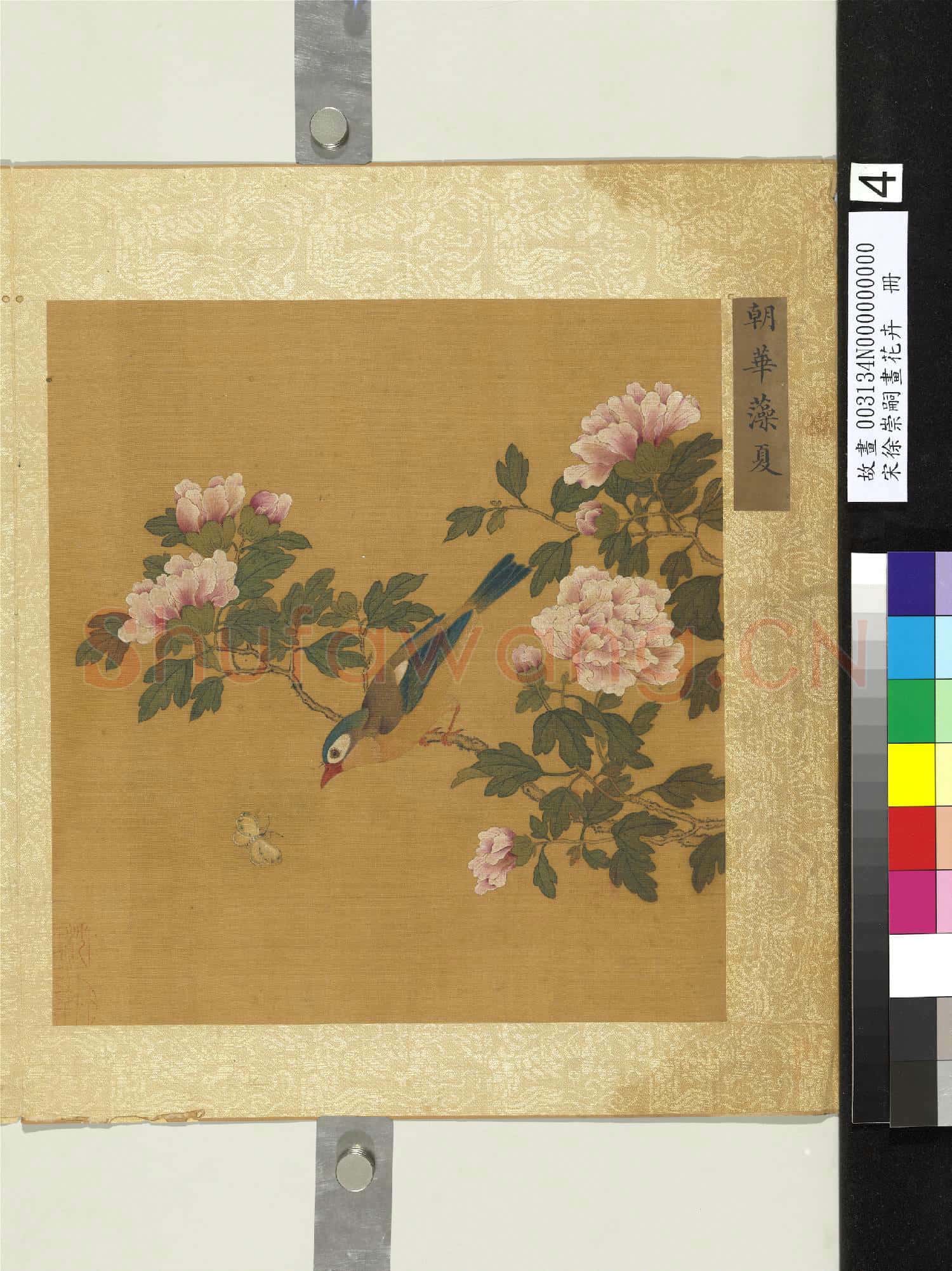 宋徐崇嗣畫花卉 冊 朝華藻夏