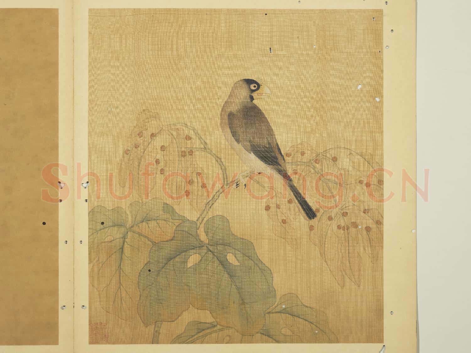 宋錢選寫生圖 冊 桑鳲