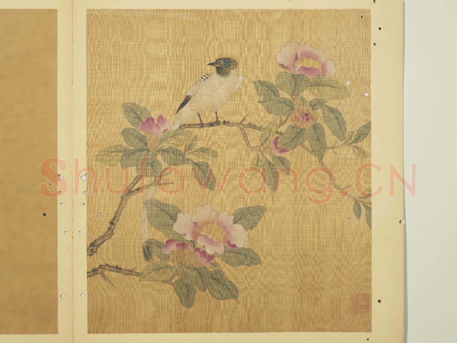 宋錢選寫生圖 冊 茶花壽帶