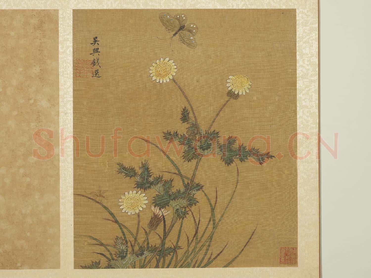 宋錢選寫生圖 冊 菊花蝴蝶