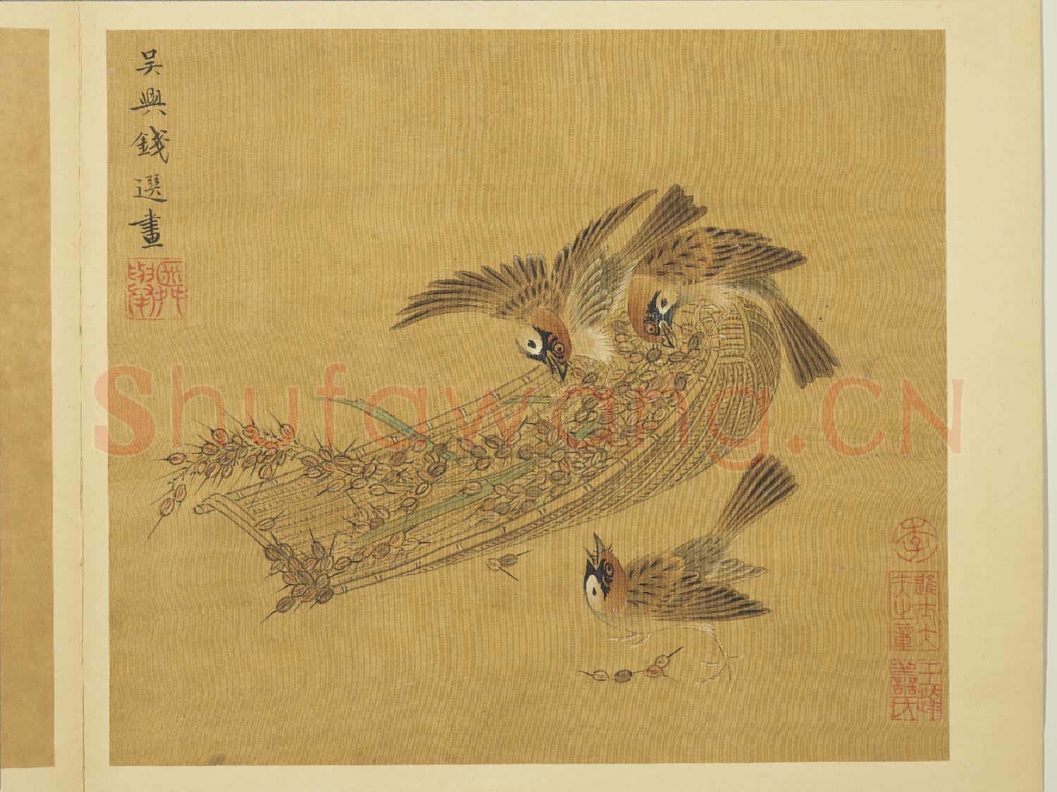 宋錢選畫花籃圖 冊 稻雀