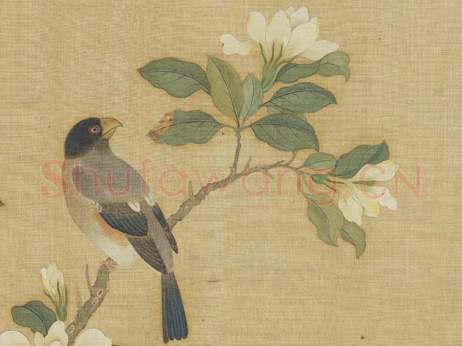 明仇英花鳥 冊 梔枝桑鳲