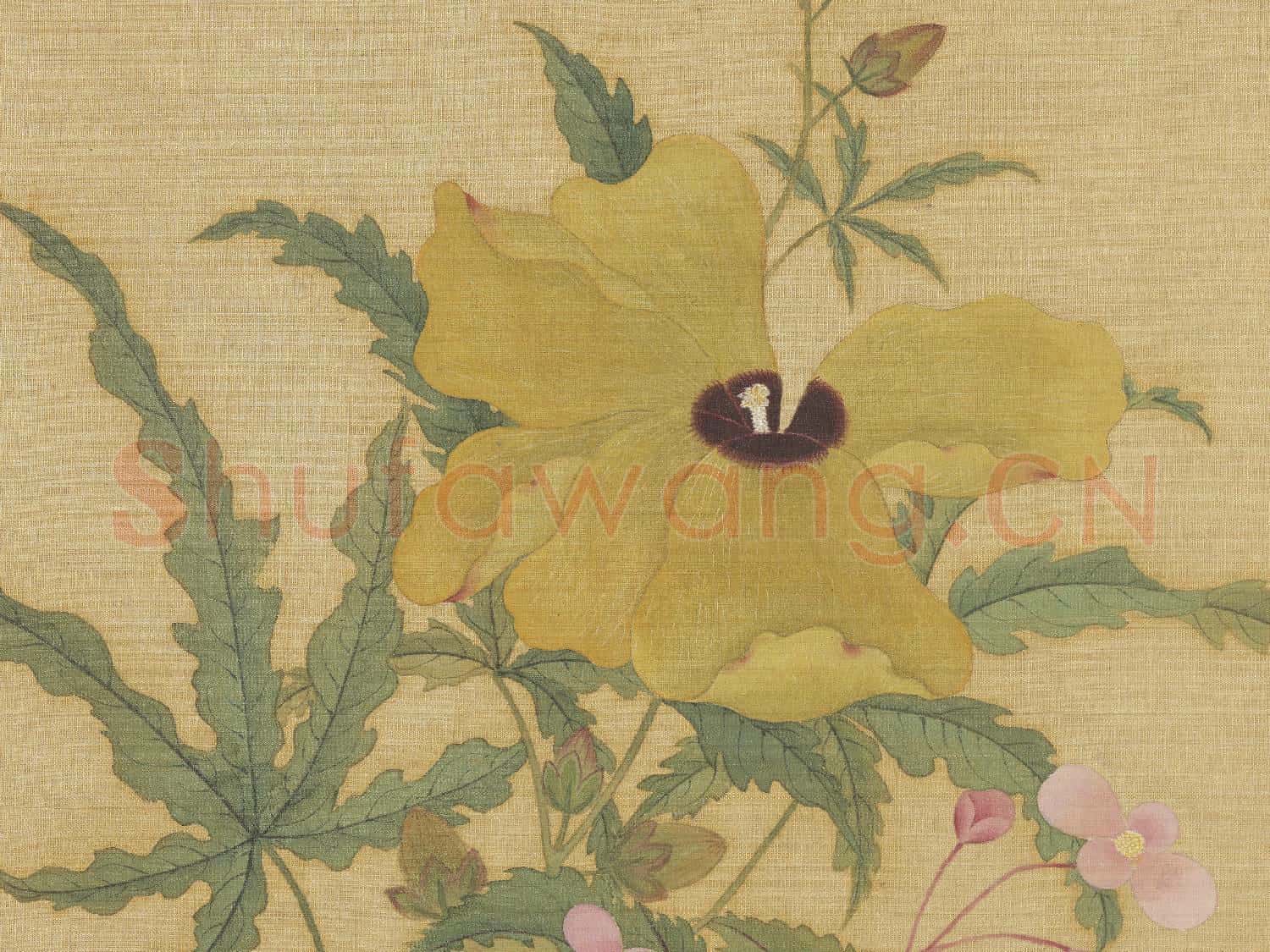 明仇英花鳥 冊 蜀葵