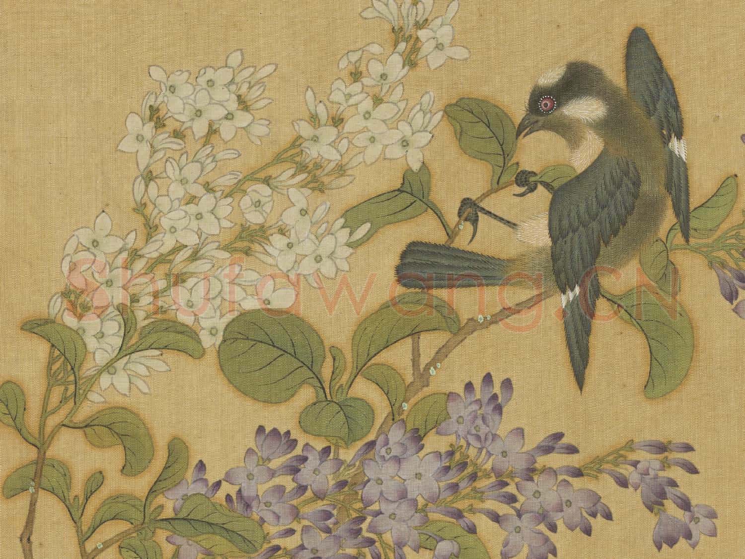 明仇英花鳥 冊 紫薇白頭翁