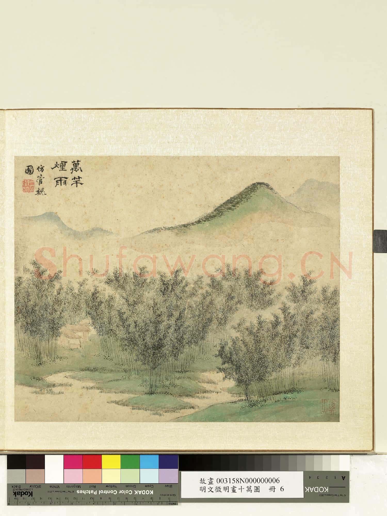 明文徵明畫十萬圖 冊 萬竿煙雨