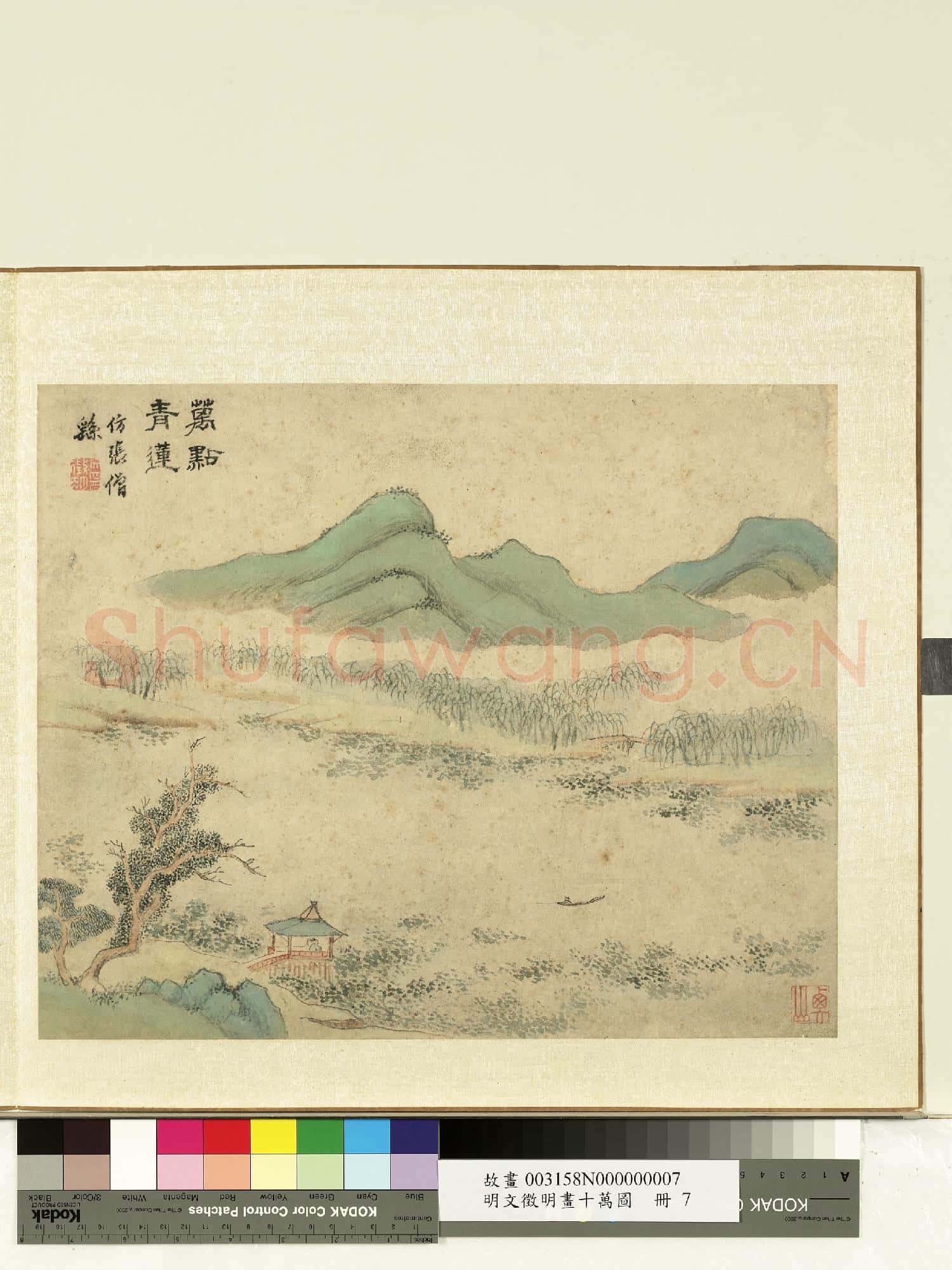 明文徵明畫十萬圖 冊 萬點青蓮