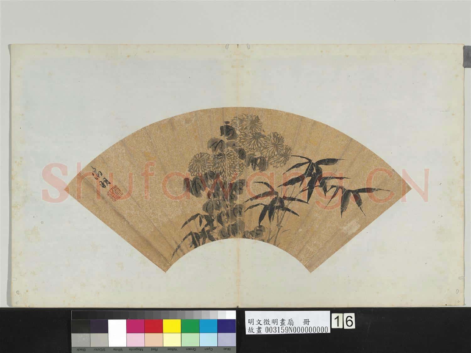 明文徵明畫扇 冊 菊花