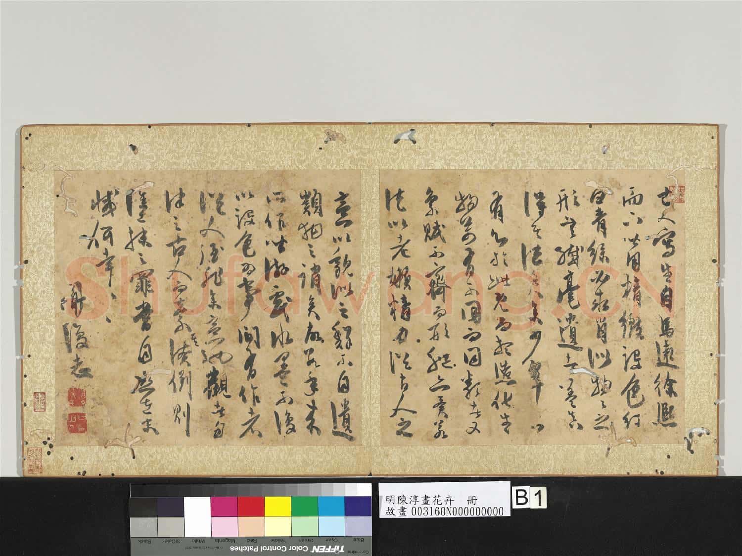 明陳淳畫花卉 冊