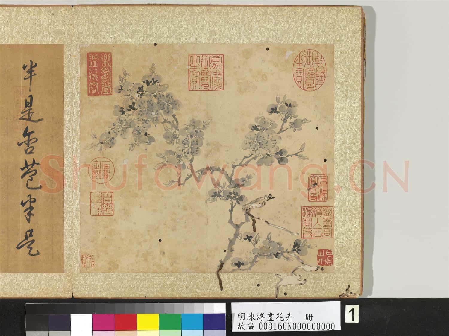 明陳淳畫花卉 冊 杏花
