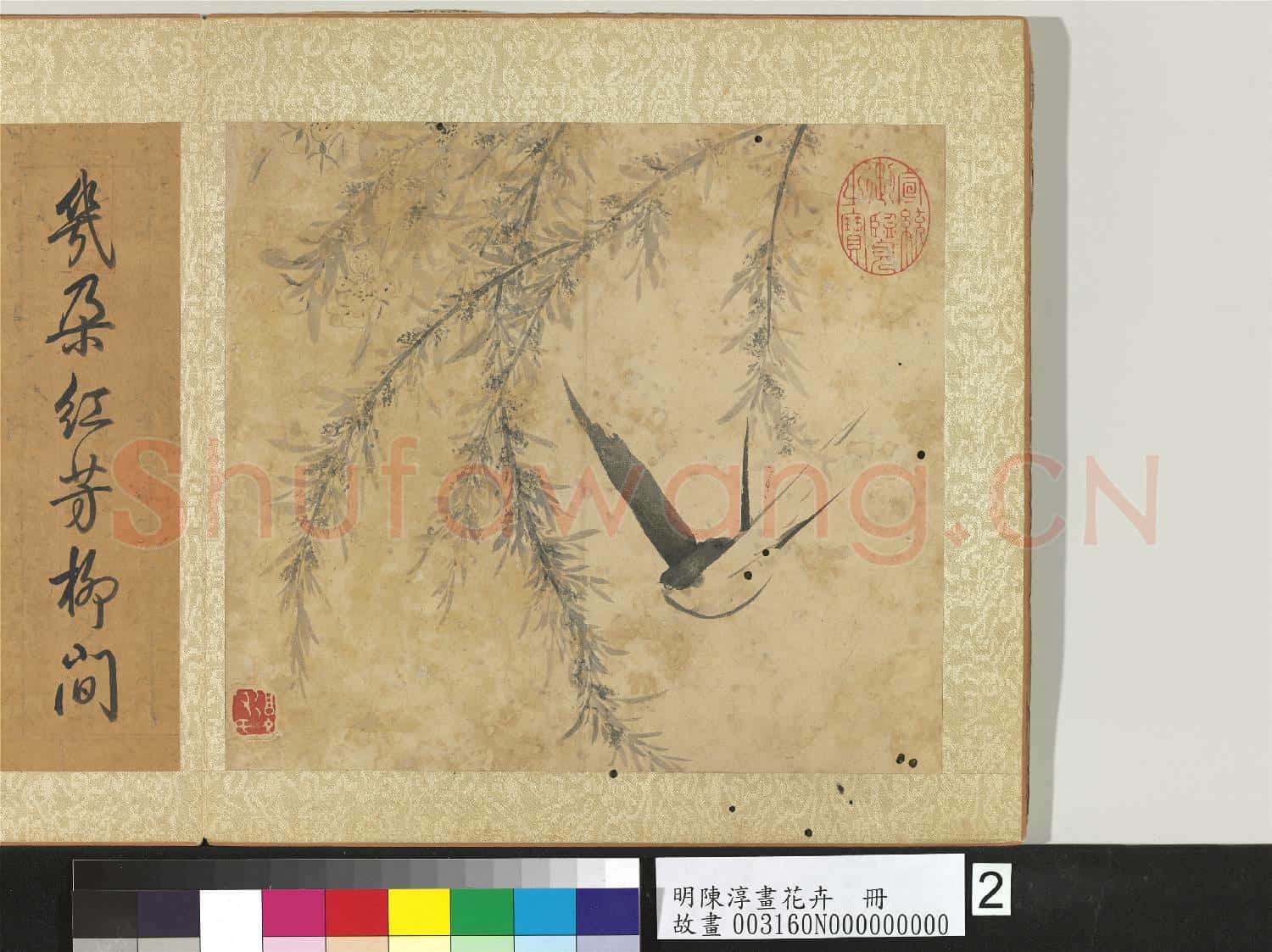 明陳淳畫花卉 冊 桃花