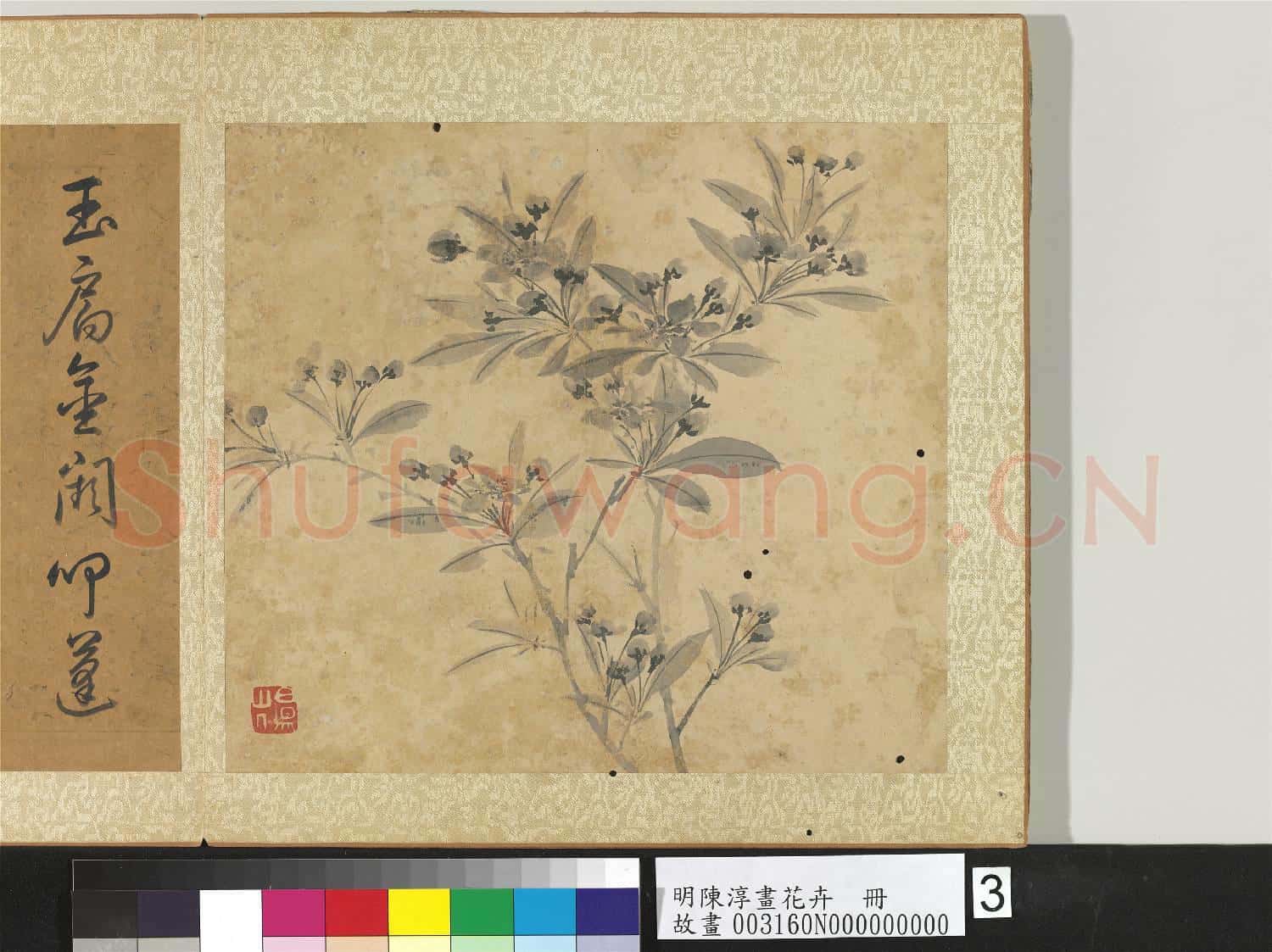 明陳淳畫花卉 冊 海棠
