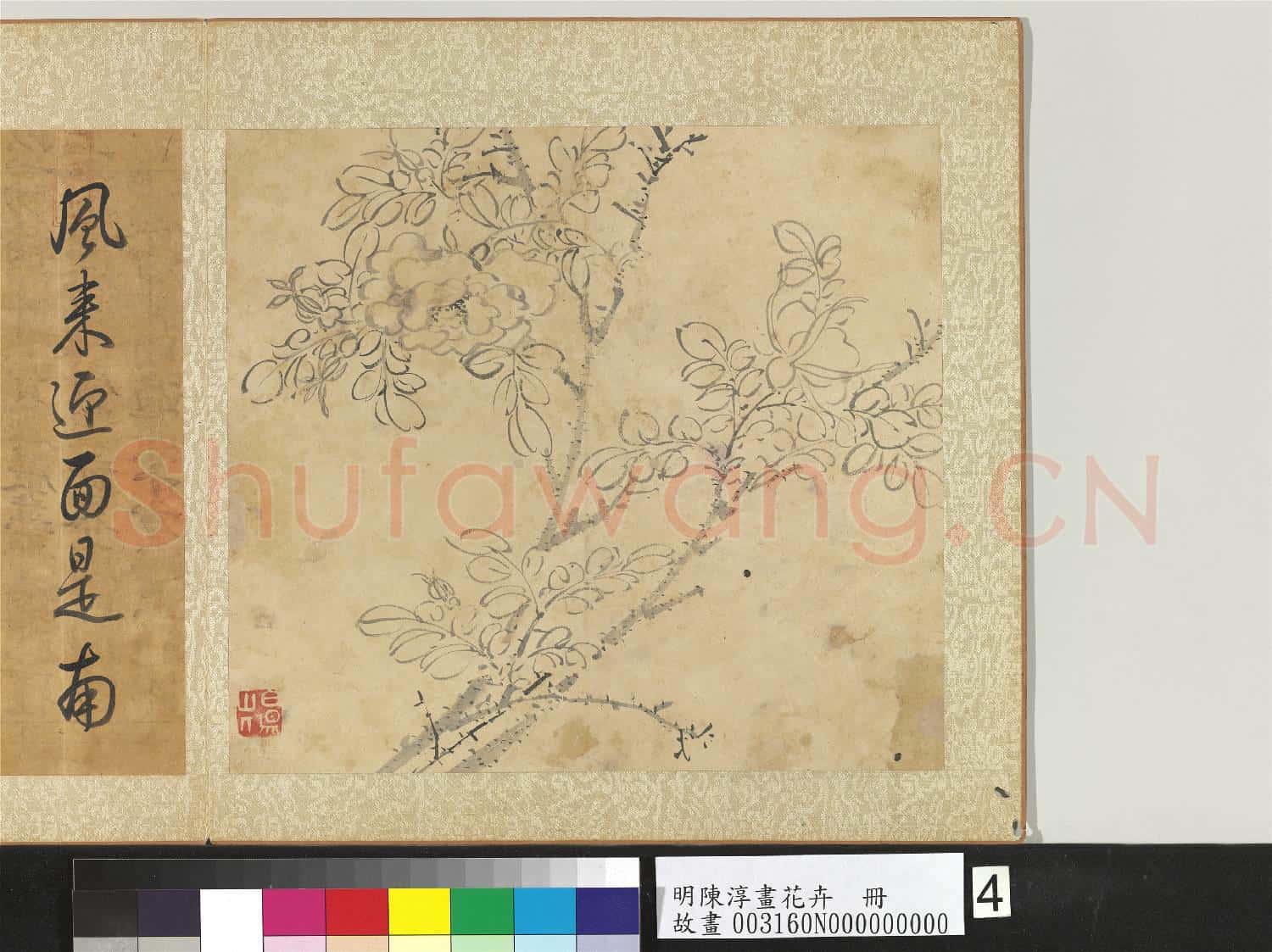 明陳淳畫花卉 冊 薔薇