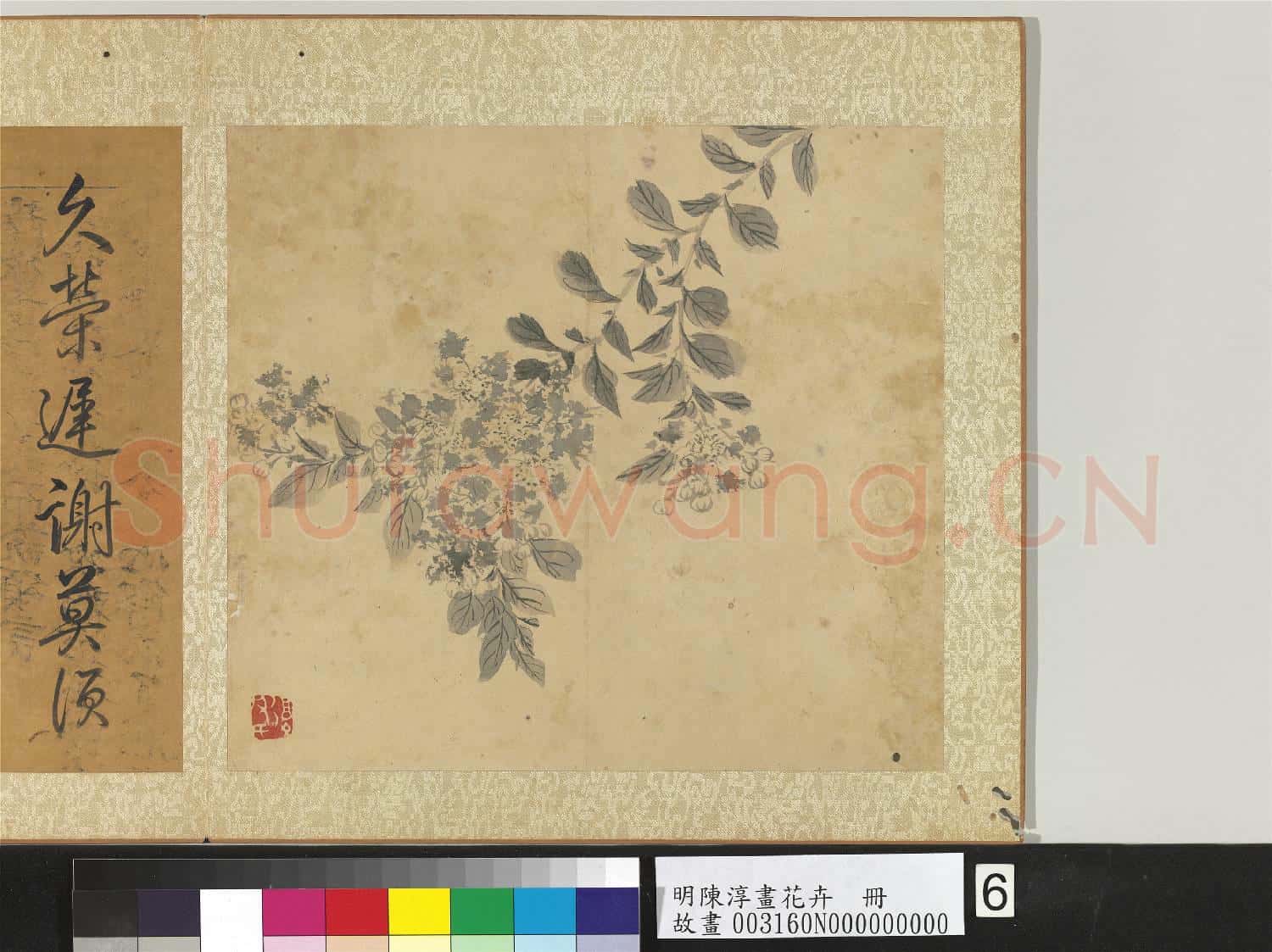 明陳淳畫花卉 冊 紫薇
