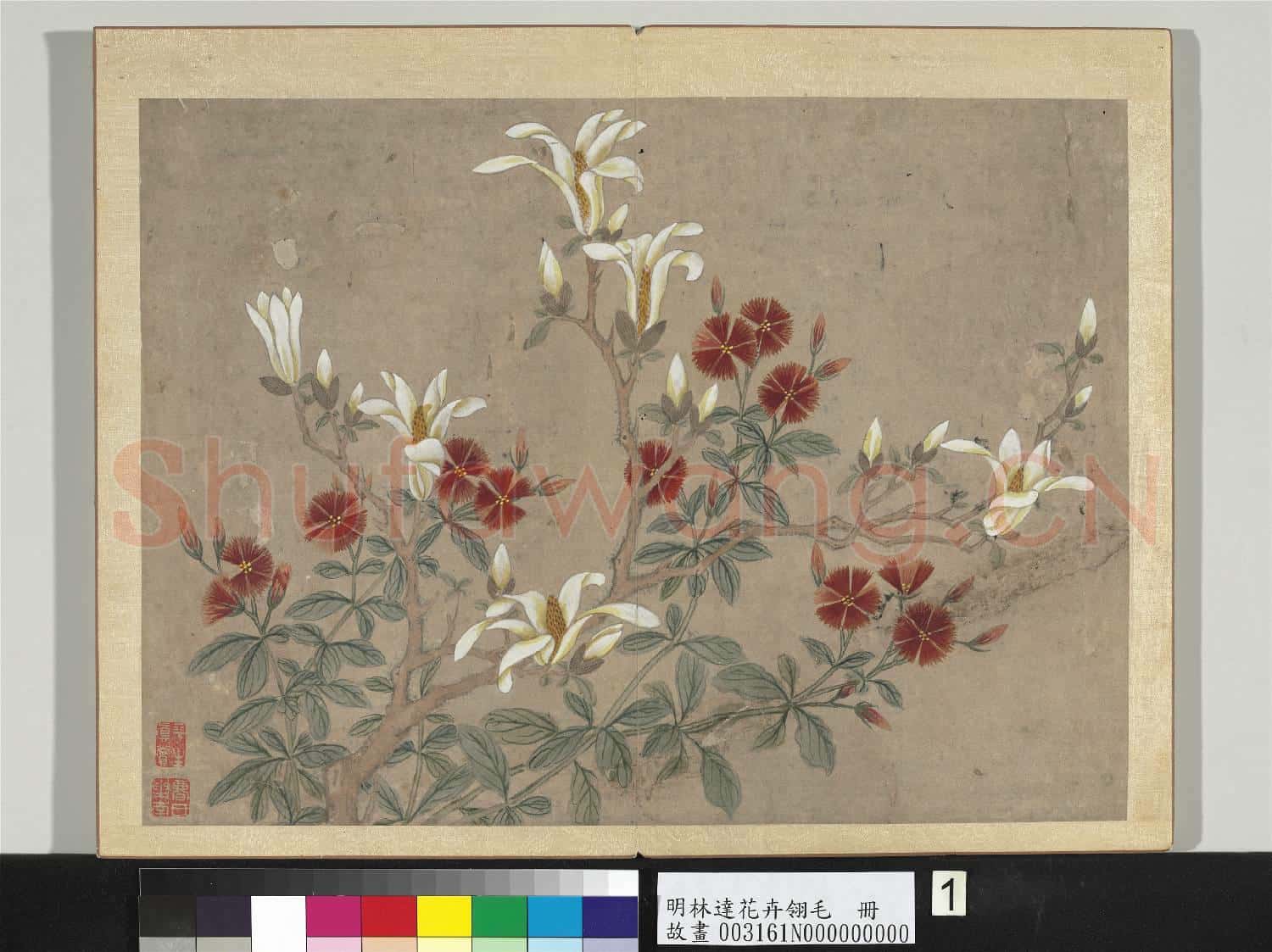 明林達花卉翎毛 冊 辛夷石竹