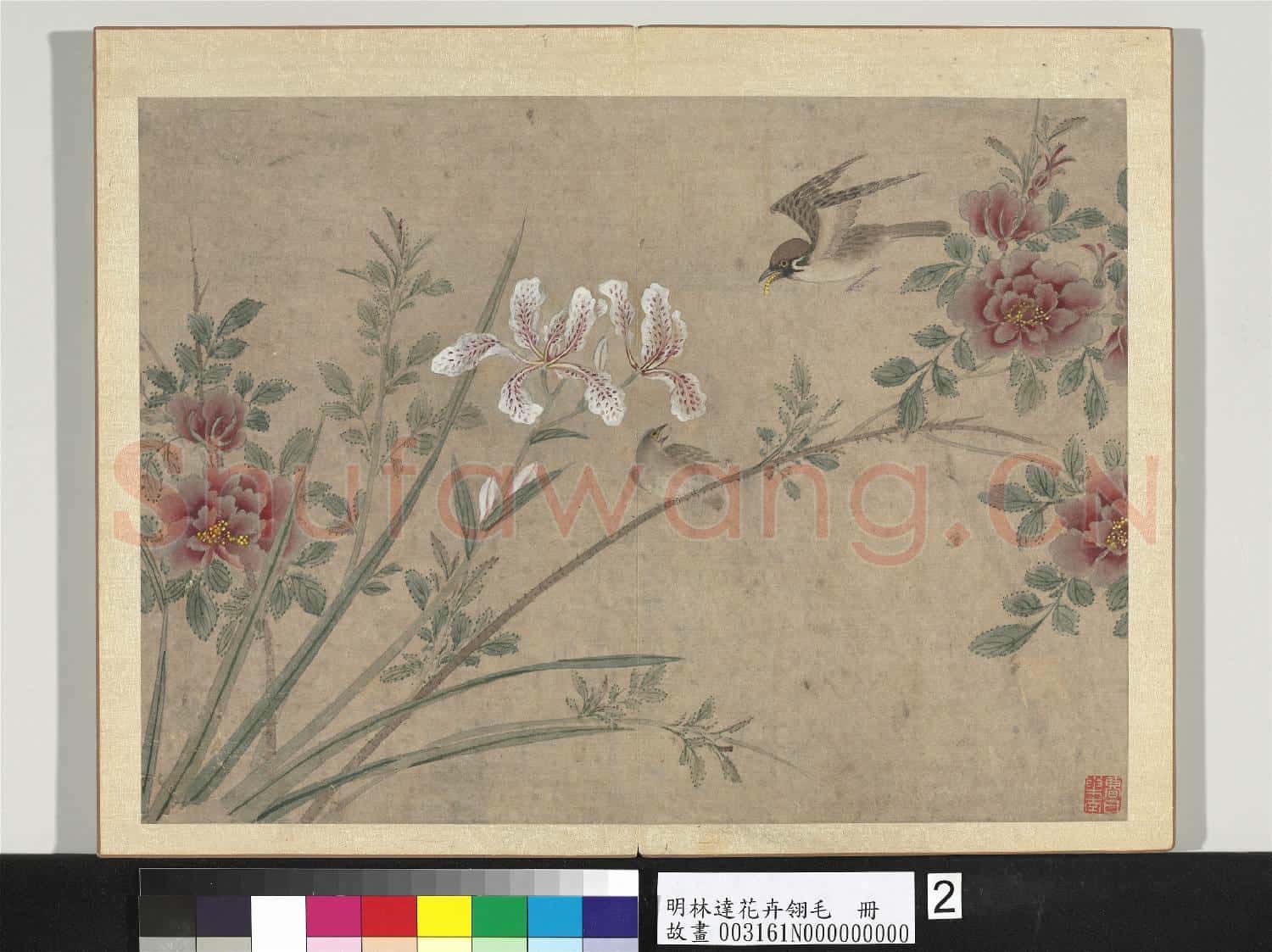明林達花卉翎毛 冊 月季麻雀