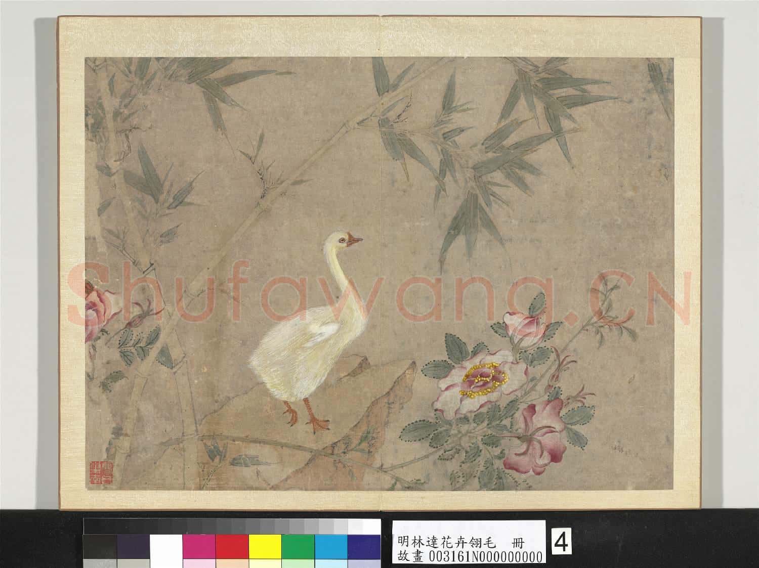 明林達花卉翎毛 冊 月季竹鵝