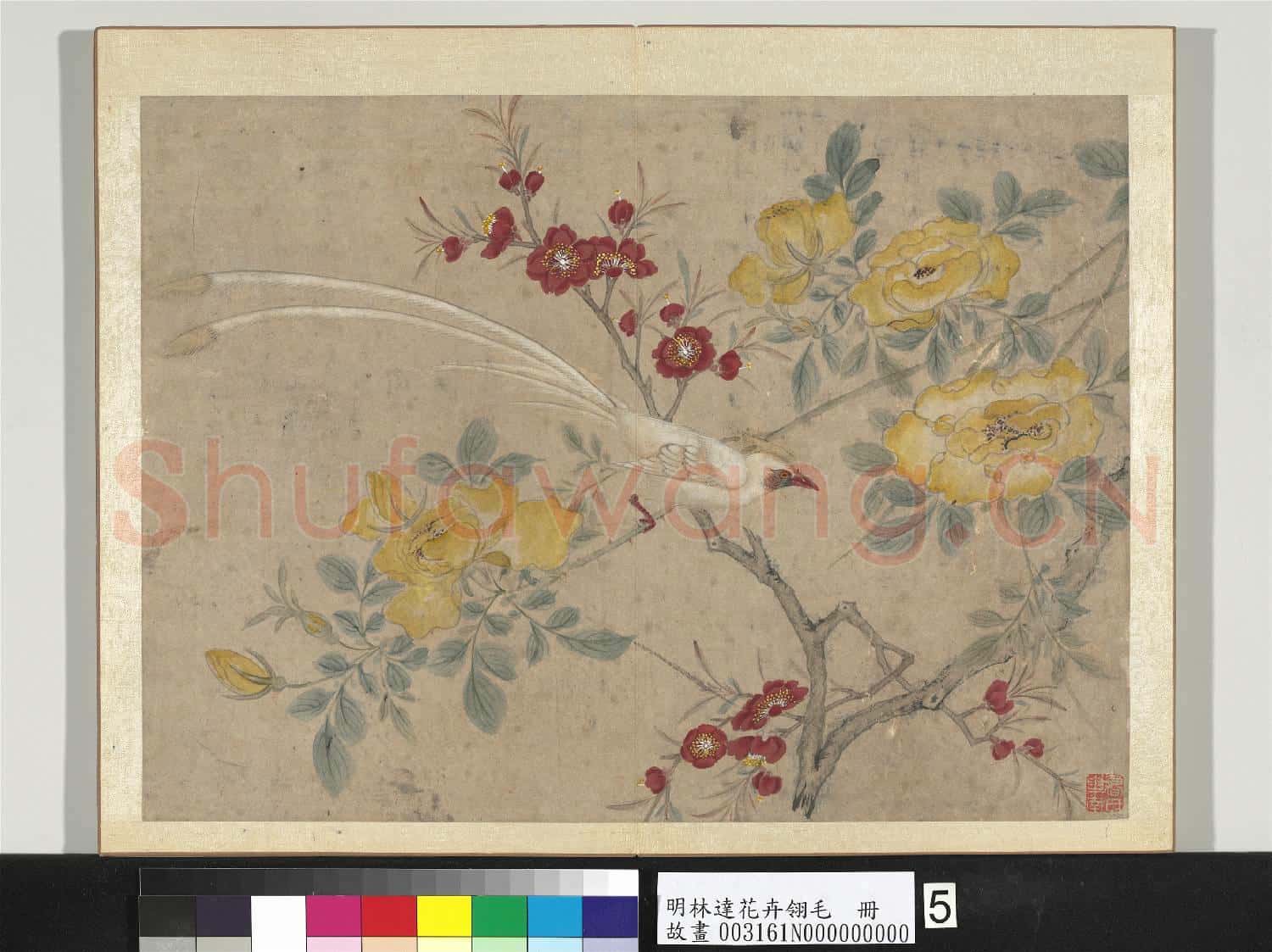 明林達花卉翎毛 冊 桃花壽帶