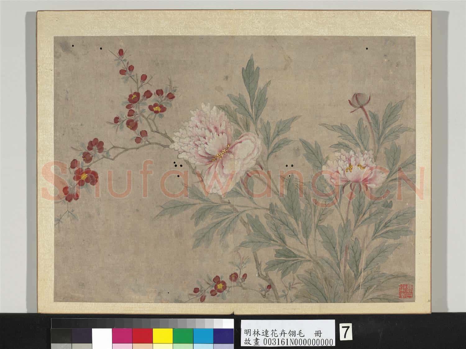 明林達花卉翎毛 冊 芍藥花草