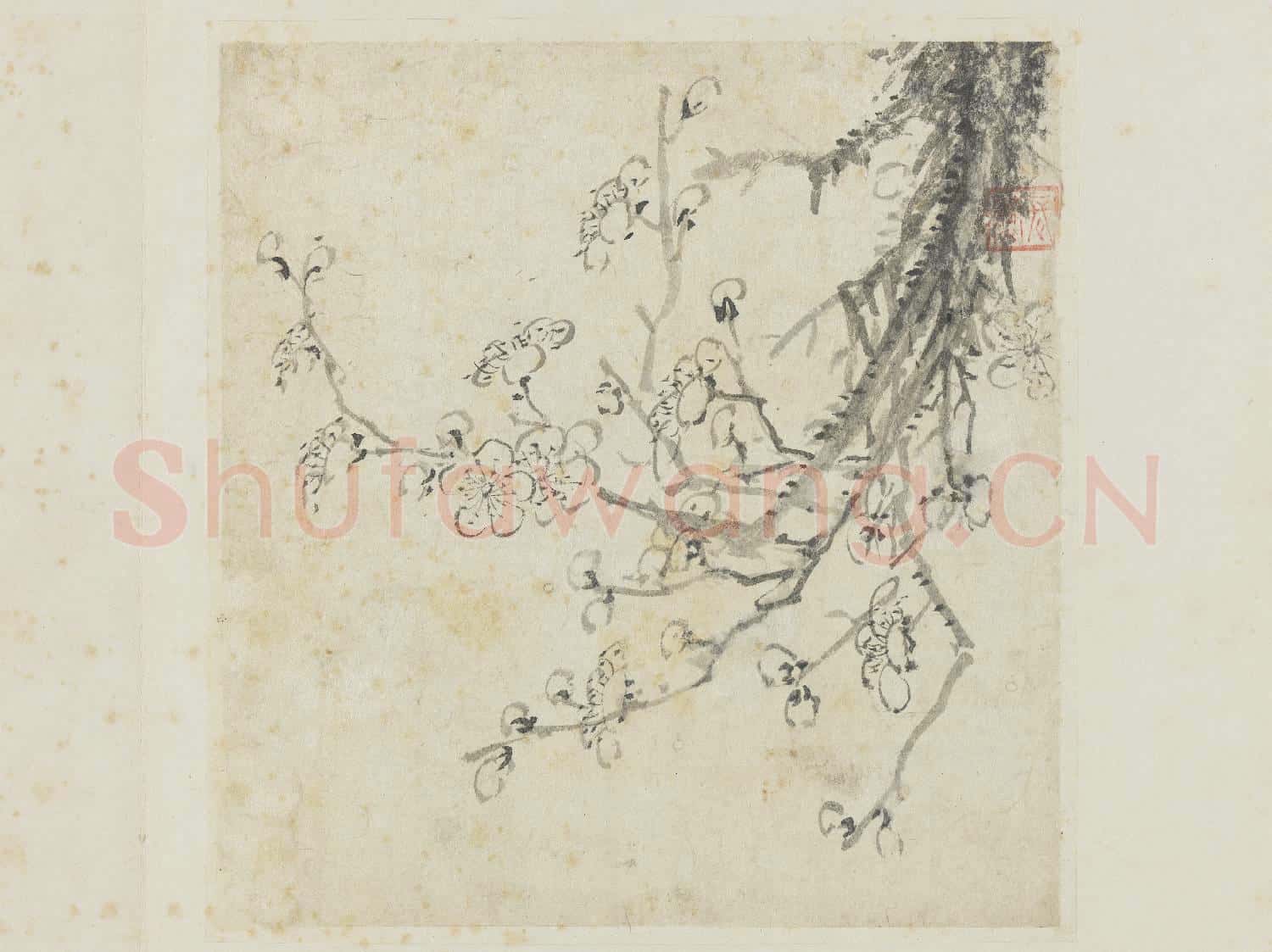 明李流芳山水寫生 冊 梅花