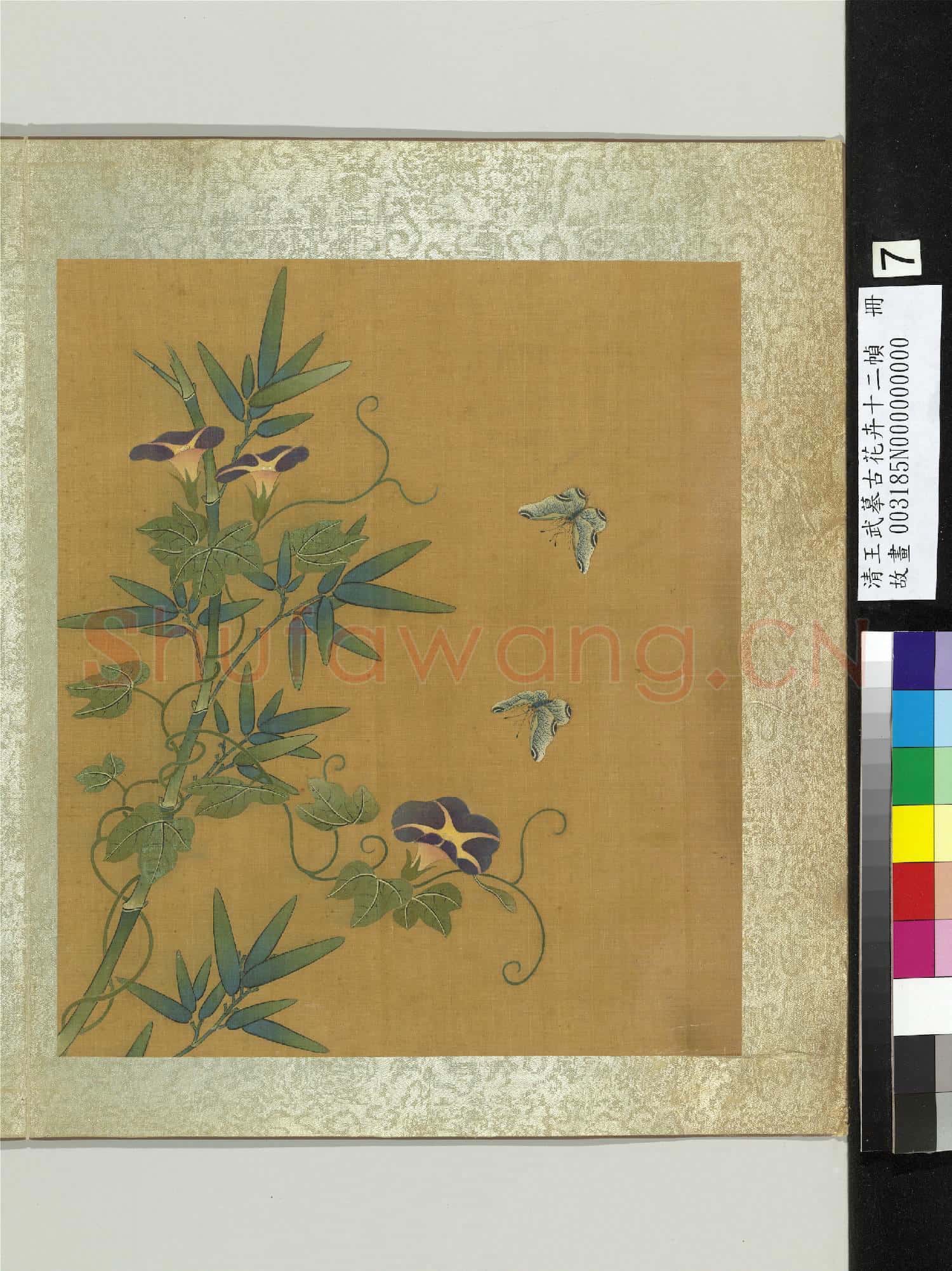 清王武摹古花卉十二幀 冊 牽牛石竹