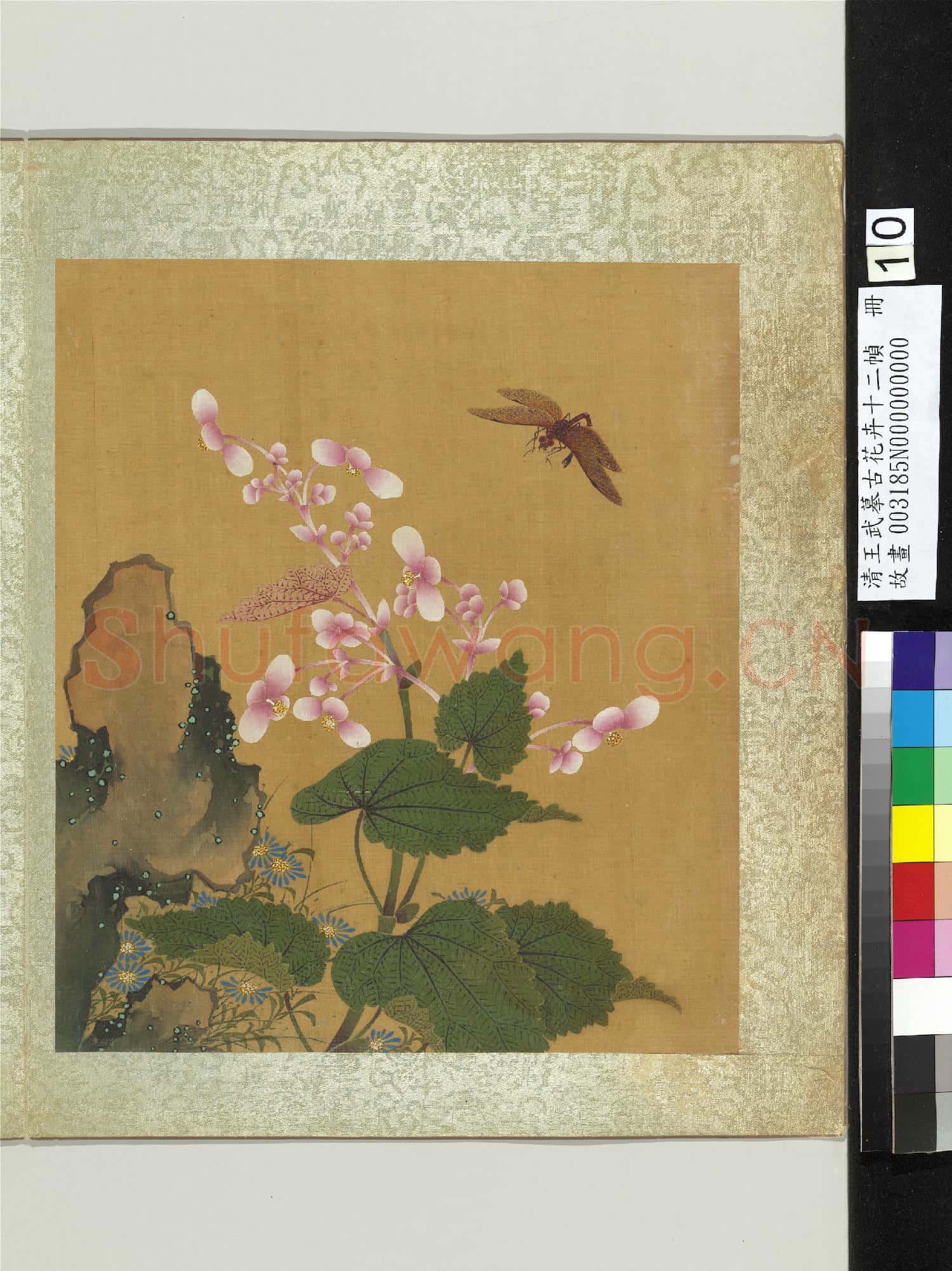 清王武摹古花卉十二幀 冊 海棠藍菊