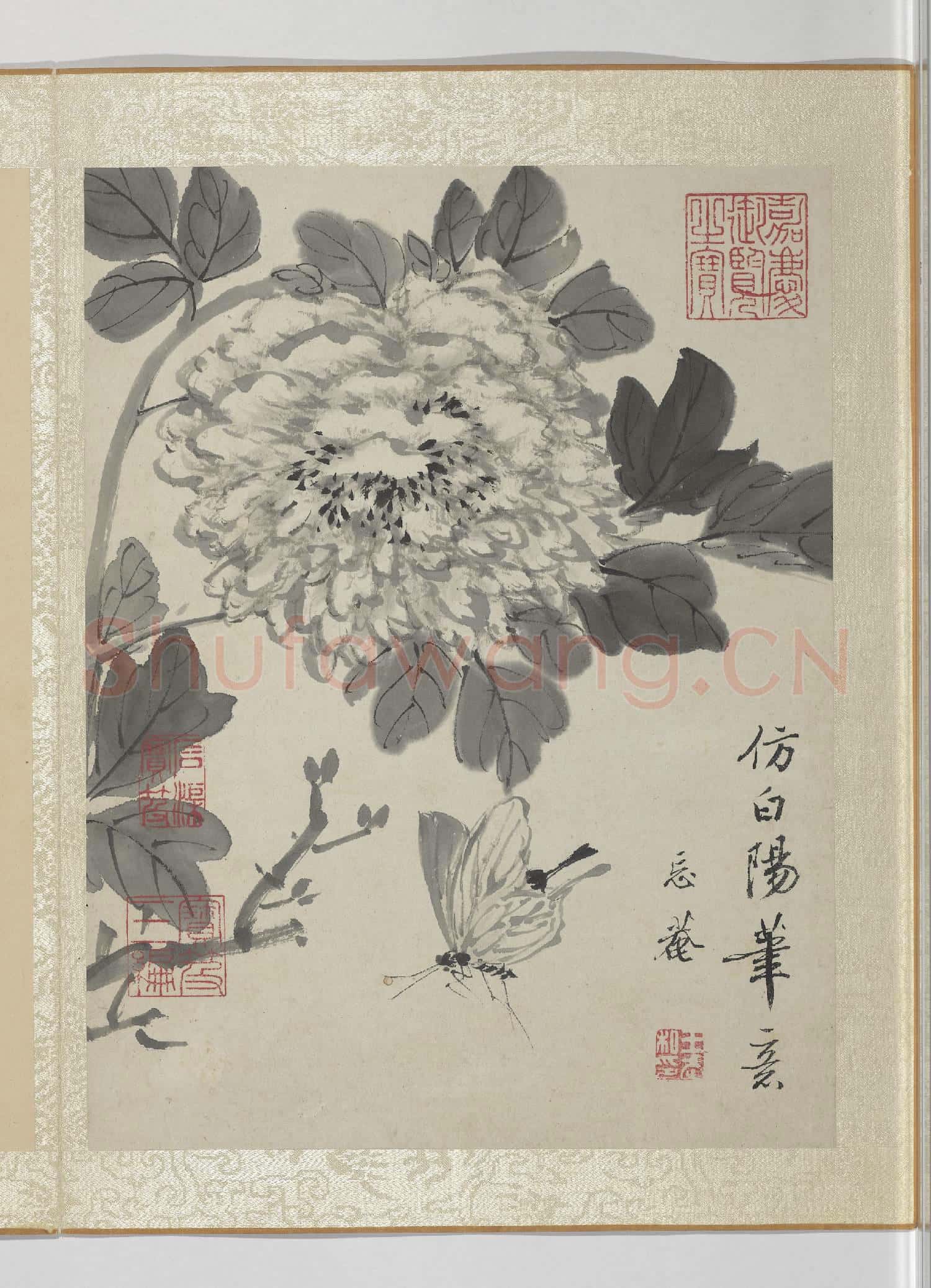 清王武花卉 冊 墨畫牡丹