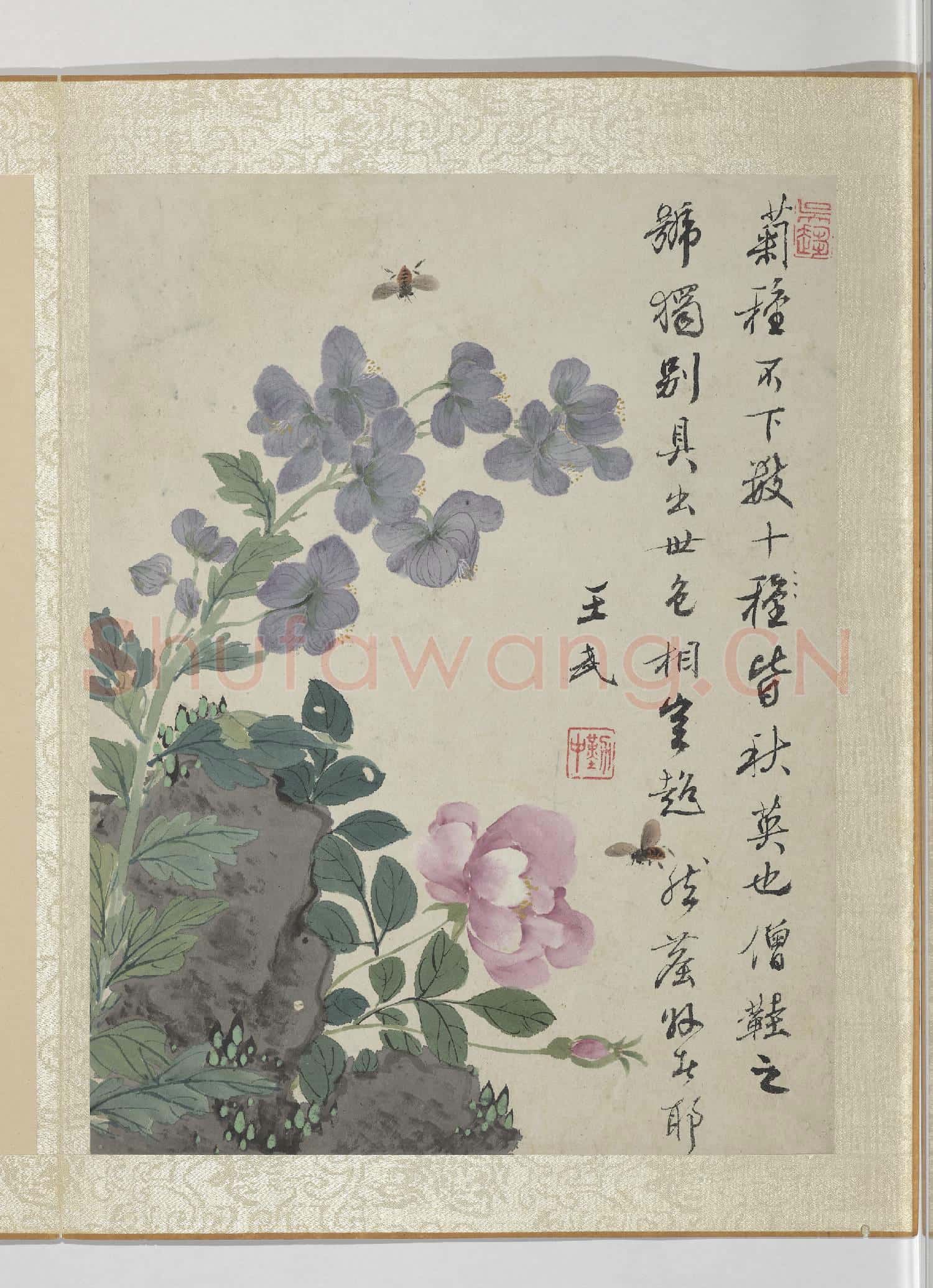 清王武花卉 冊 僧鞋菊月季花