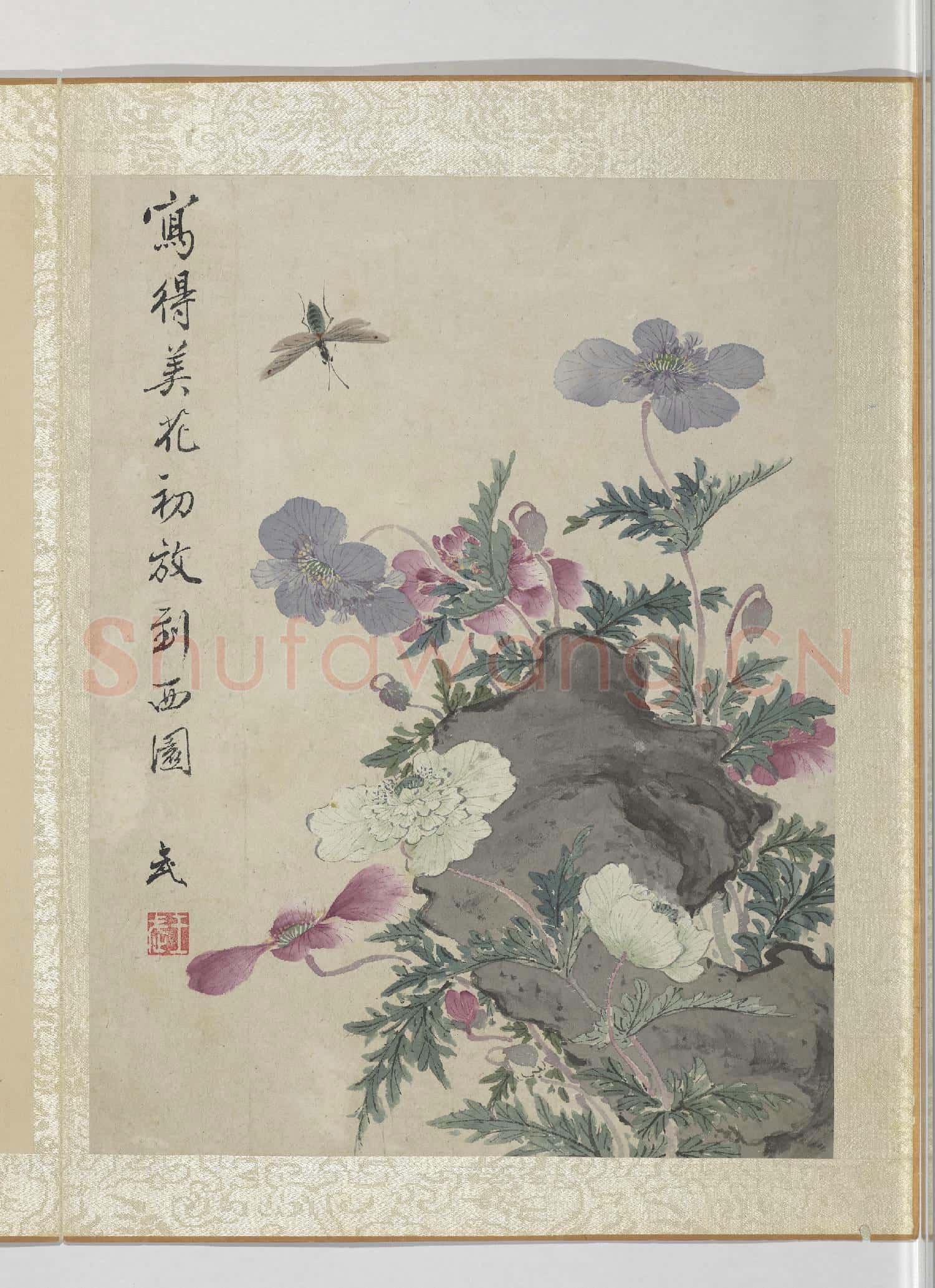 清王武花卉 冊 虞美人