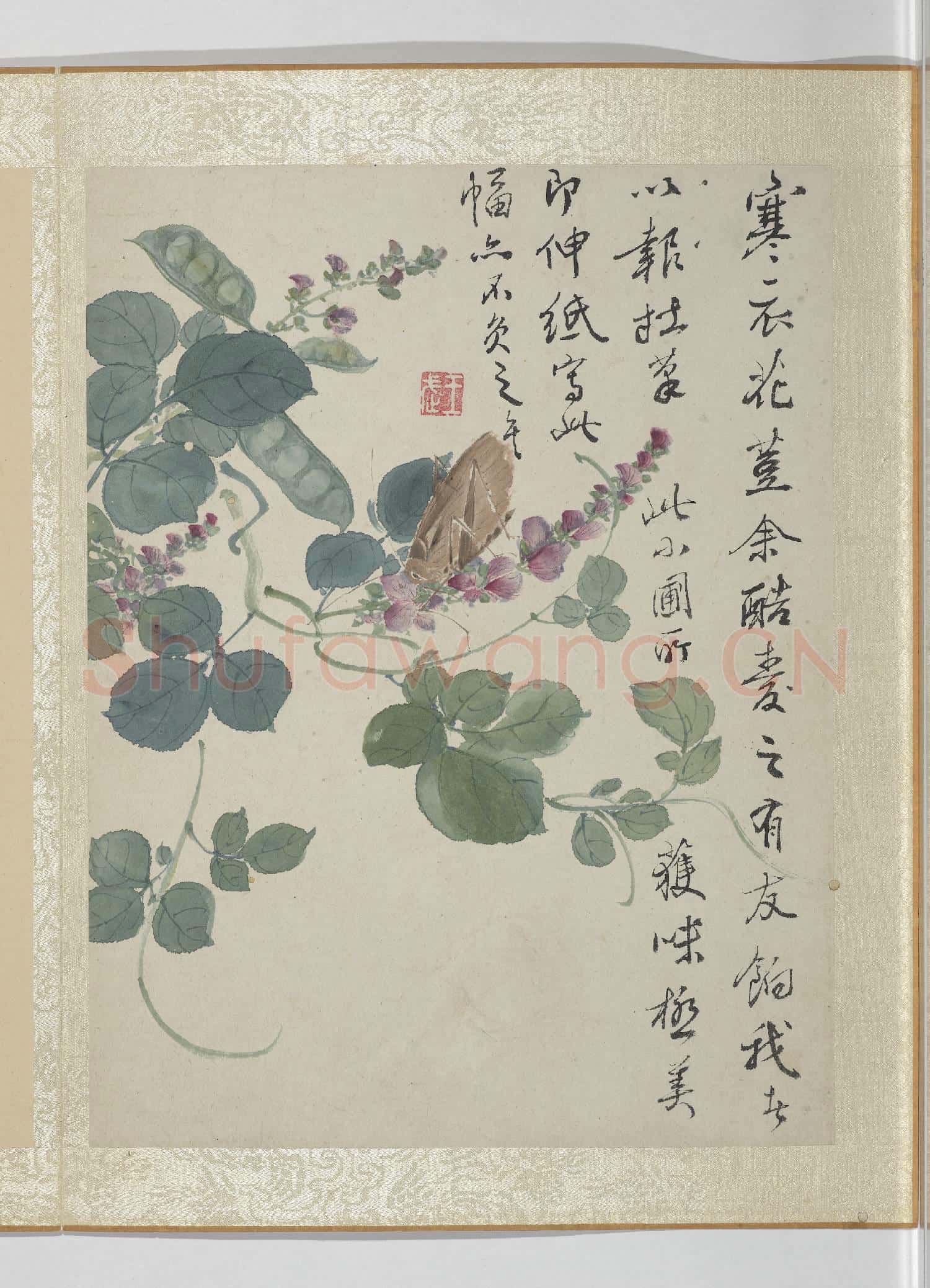 清王武花卉 冊 扁荳花