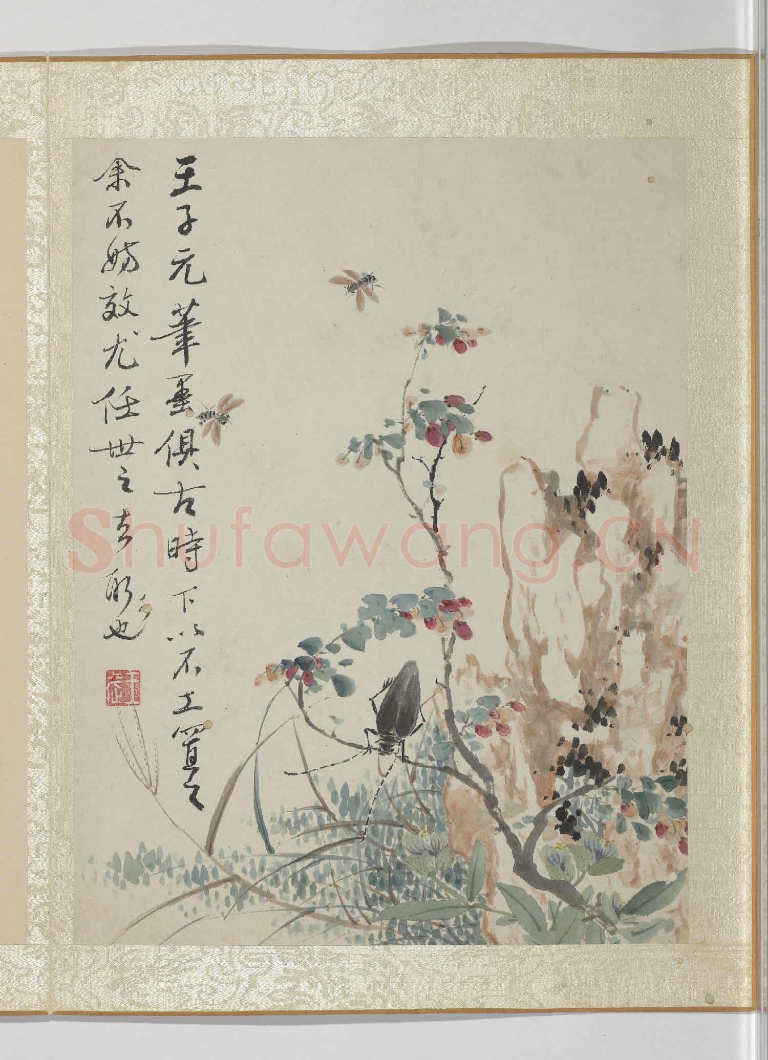 清王武花卉.冊.枸杞子故畫
